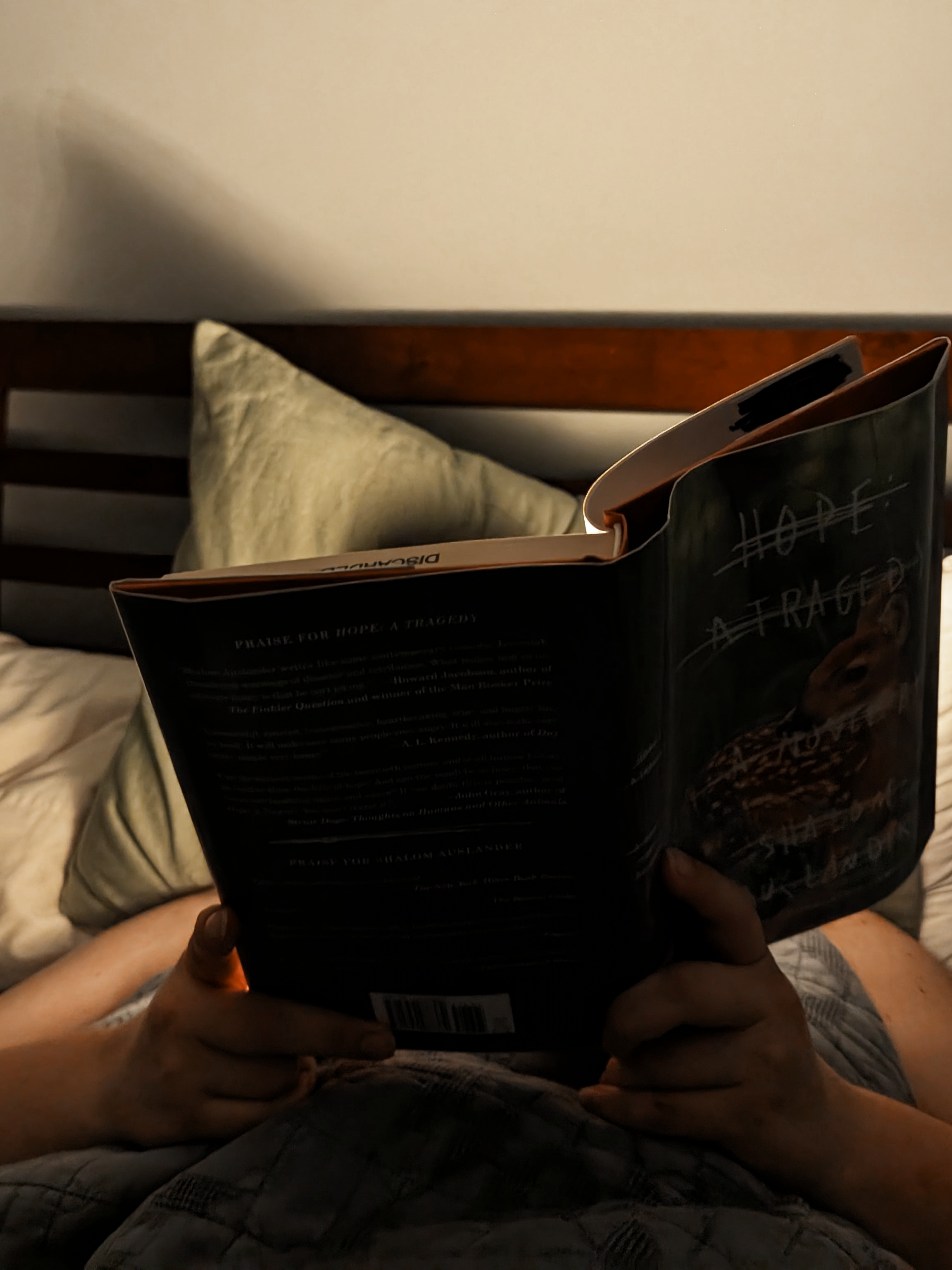 ThePagerKnightatNight.png