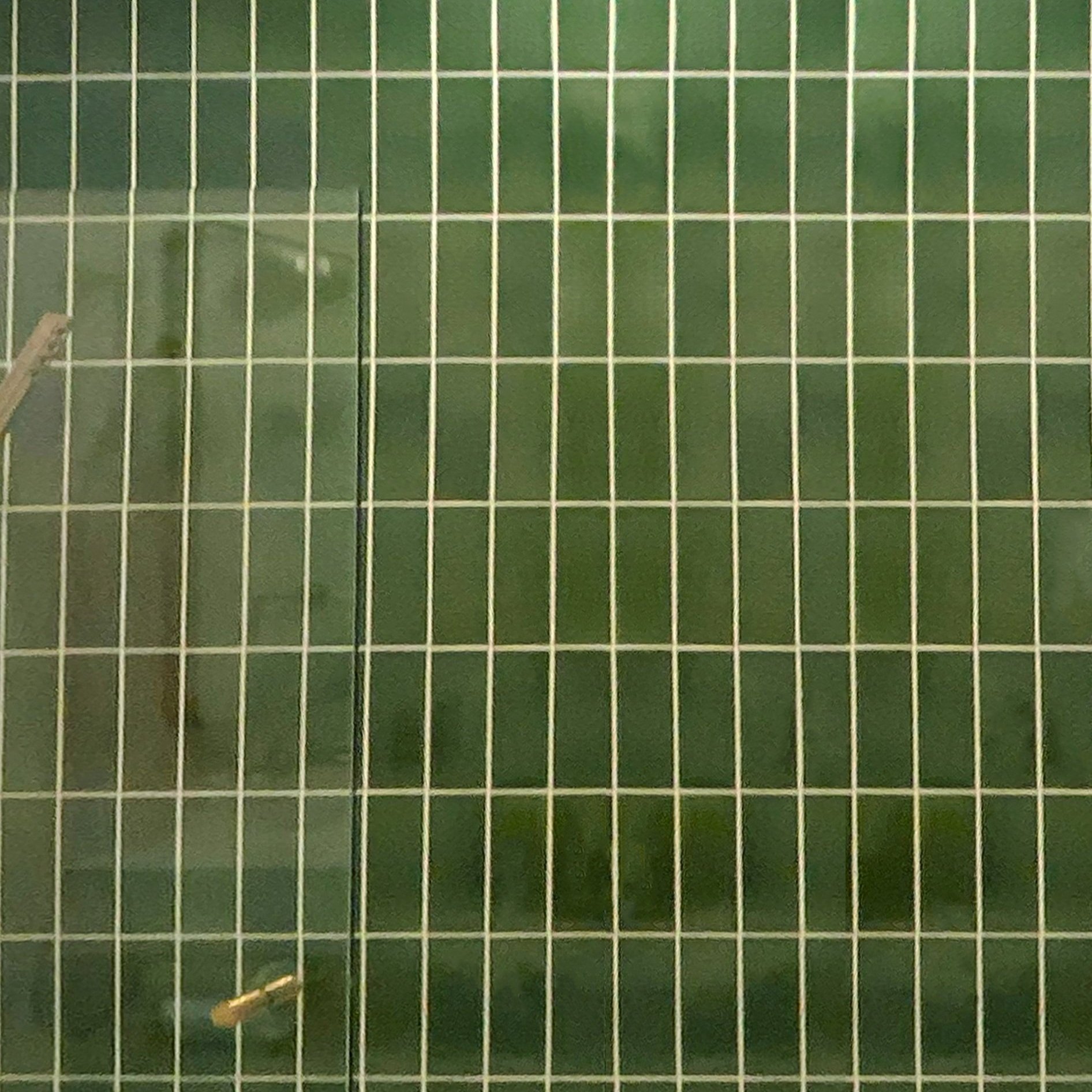 00_green+tile.jpg