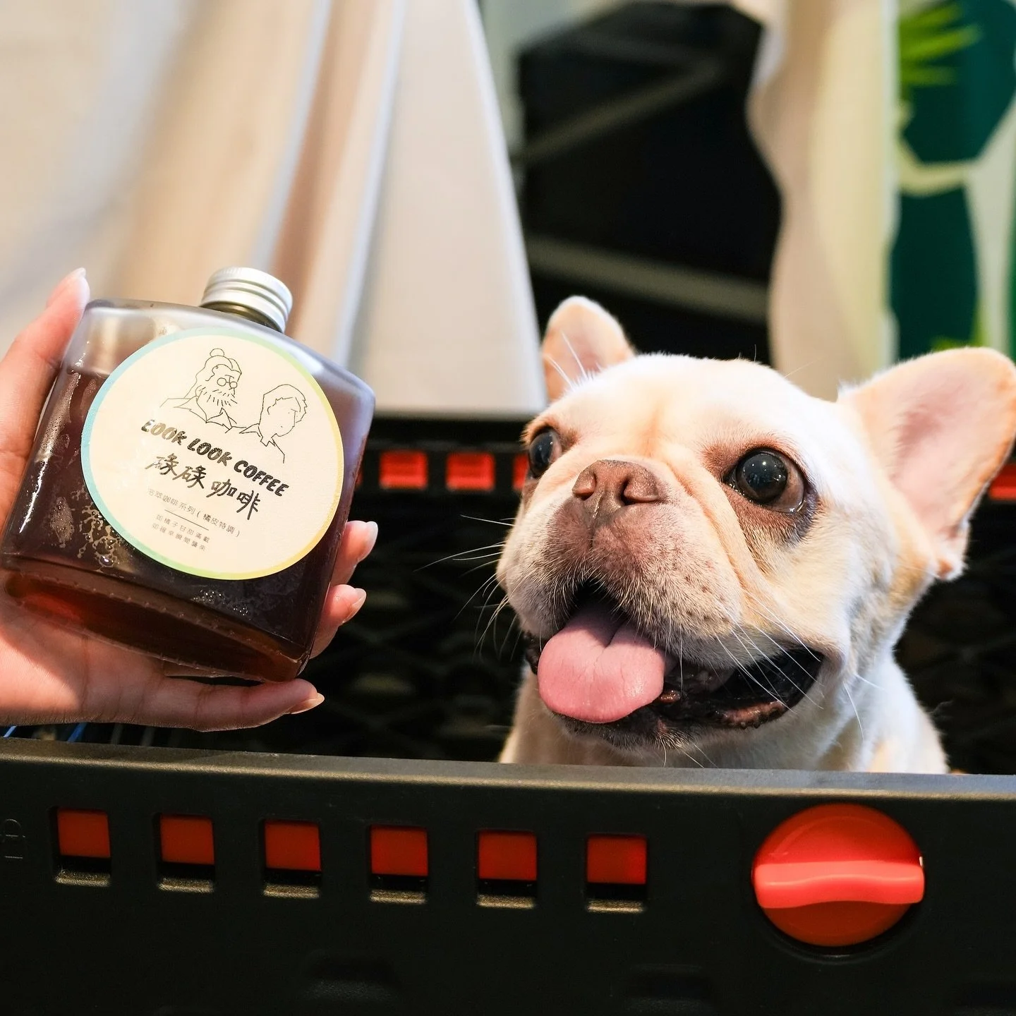 早晨🌞勁開心！多謝向方好友支持，碌碌面世第一波：Marketoo X 公開試當真市集，以提早完售嘅好成績暫告一段落，兩日市集photo dump time here we go！🎉🥳

有一當然有二，7月13、14日（六、日），荃灣南豐紗廠Marketoo市集，碌碌再同大家見面！詳情今晚晏啲出多個po公布😘

本地創作，咖啡嶄新概念，7月，Look into my eyes，碌into your heart！

#looklookcoffee 
#hongkongcoffee 
#hon