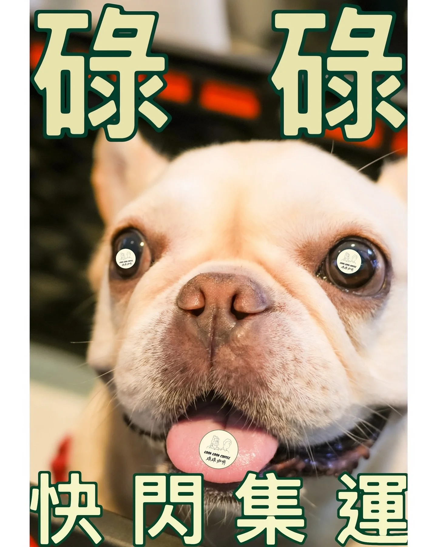 碌碌快閃集運來了！🐕🧅
上個禮拜出咗個story問大家，快閃集運點睇、想要邊隻味先？結果有過半數朋友仔投票話俾碌碌知「我要哂！」（btw 碌碌朋友，可唔可以叫大家碌柚？😂）

⚠️快閃集運details羅列如下&mdash;&mdash;
8月限量版碌碌冷萃冰火版真天魔透明一門三傑套裝：
1. 桂花香茶特調
2. 橘皮特調
3. 雲南普洱/蜜處理
一家人齊齊整整售價：$150
不含運費、碌碌親自拎俾你！

⚠️落單從速！
咖啡套裝數量有限，由即日起至8月13日（TUE），請從速喺comme