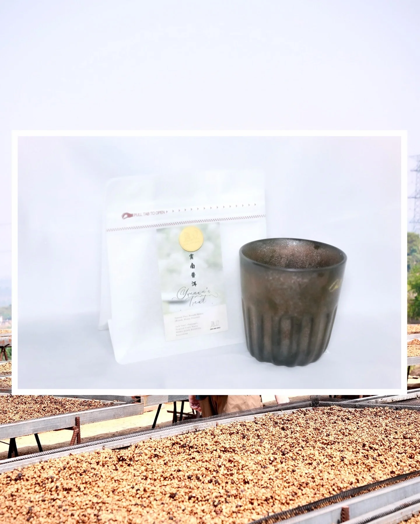 碌碌冬日新品介紹📣

雲南普洱 &lsquo;Treat from Yunnan&rsquo;⛰️

Bean &amp; Varietal：
Yunnan Puer Brandy Honey

Process：
Brandy Honey Process

Tasting Note: 
Jack Fruit, Pineapple, Tropical Fruit, Nutty

Roasted in HONG KONG🇭🇰

⚠️數量有限，欲購從速！
冬日福袋與咖啡豆數量有限，接受訂單時間由