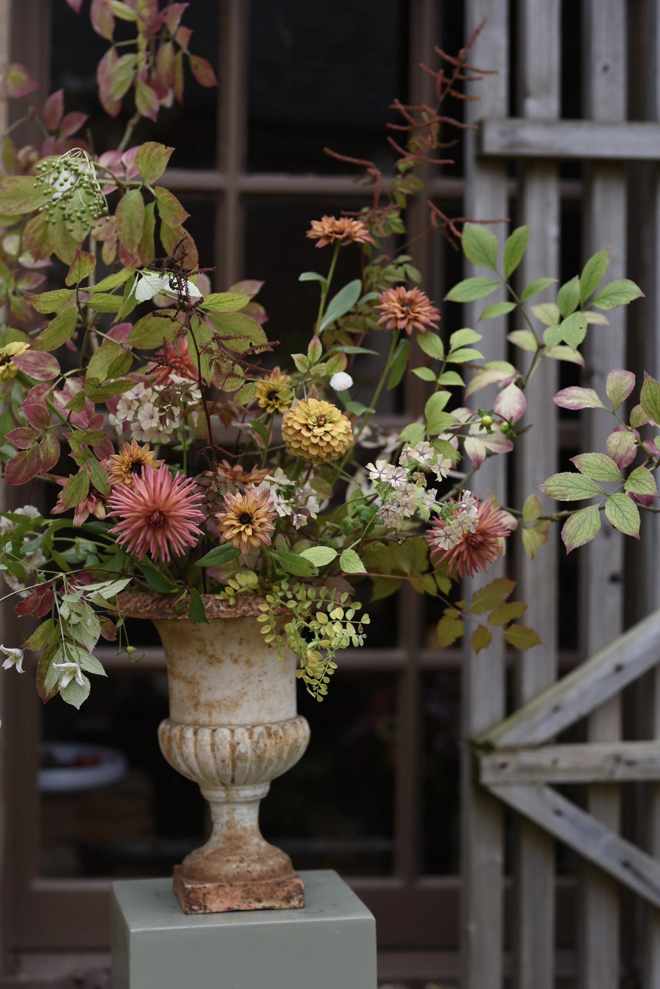                             Photo by Simply by Arrangement