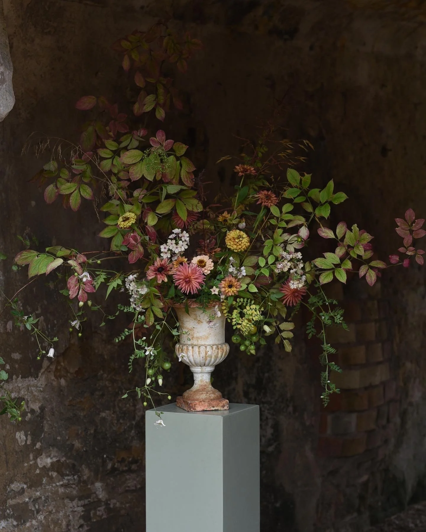 Photo by Simply by Arrangement