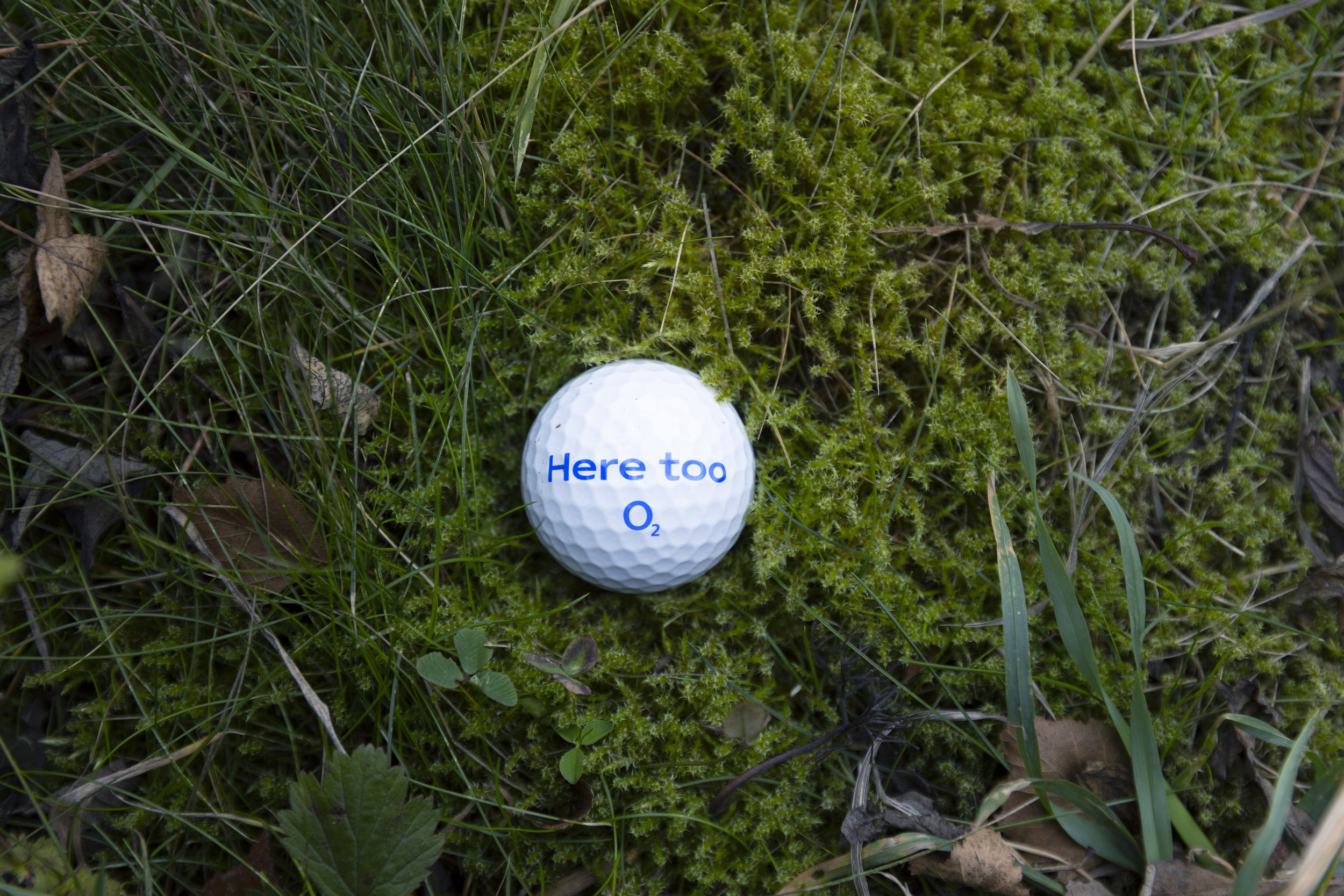 11785_O2_Network_Here_Too_GolfBall_R2.jpg