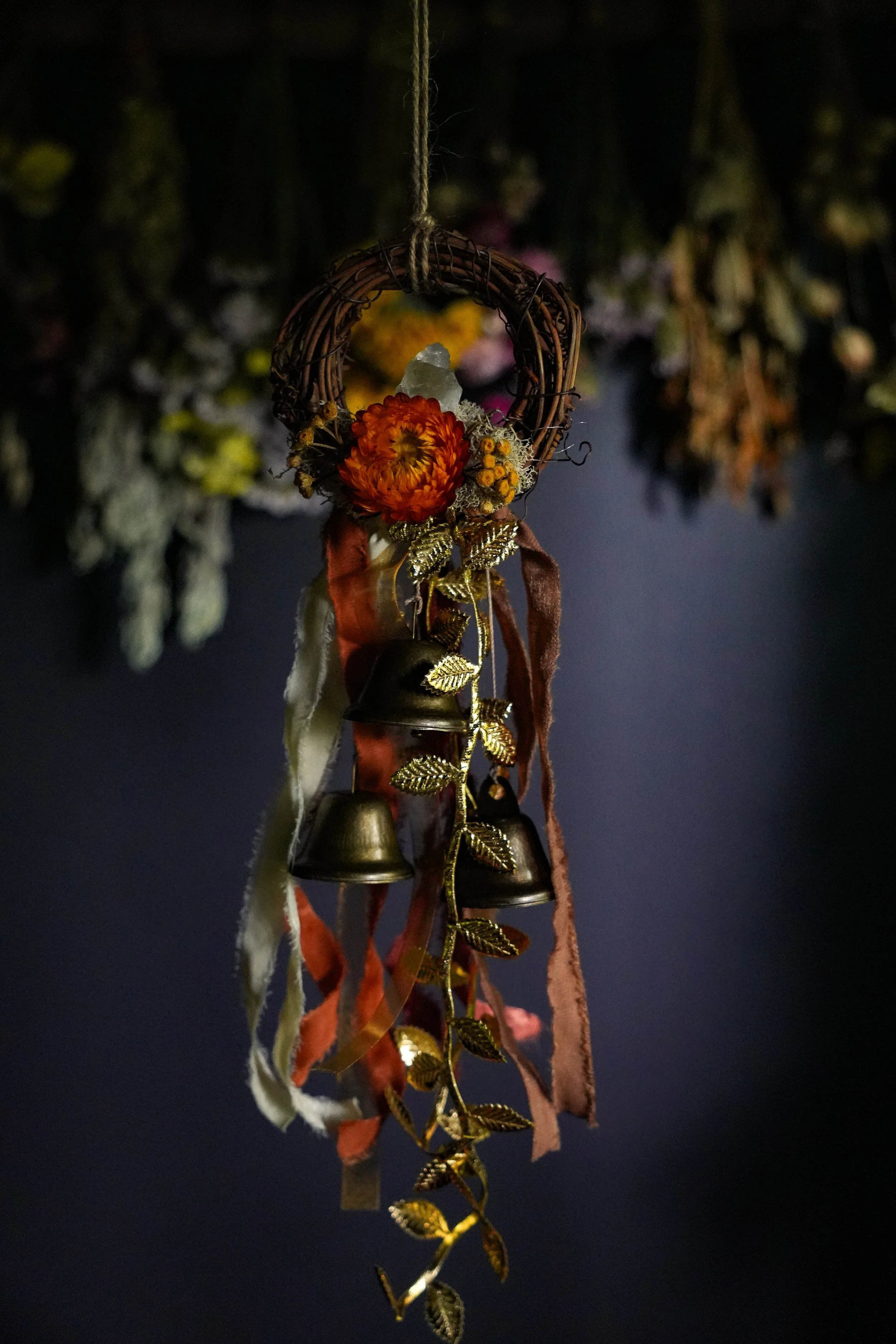 DSC00222.jpg