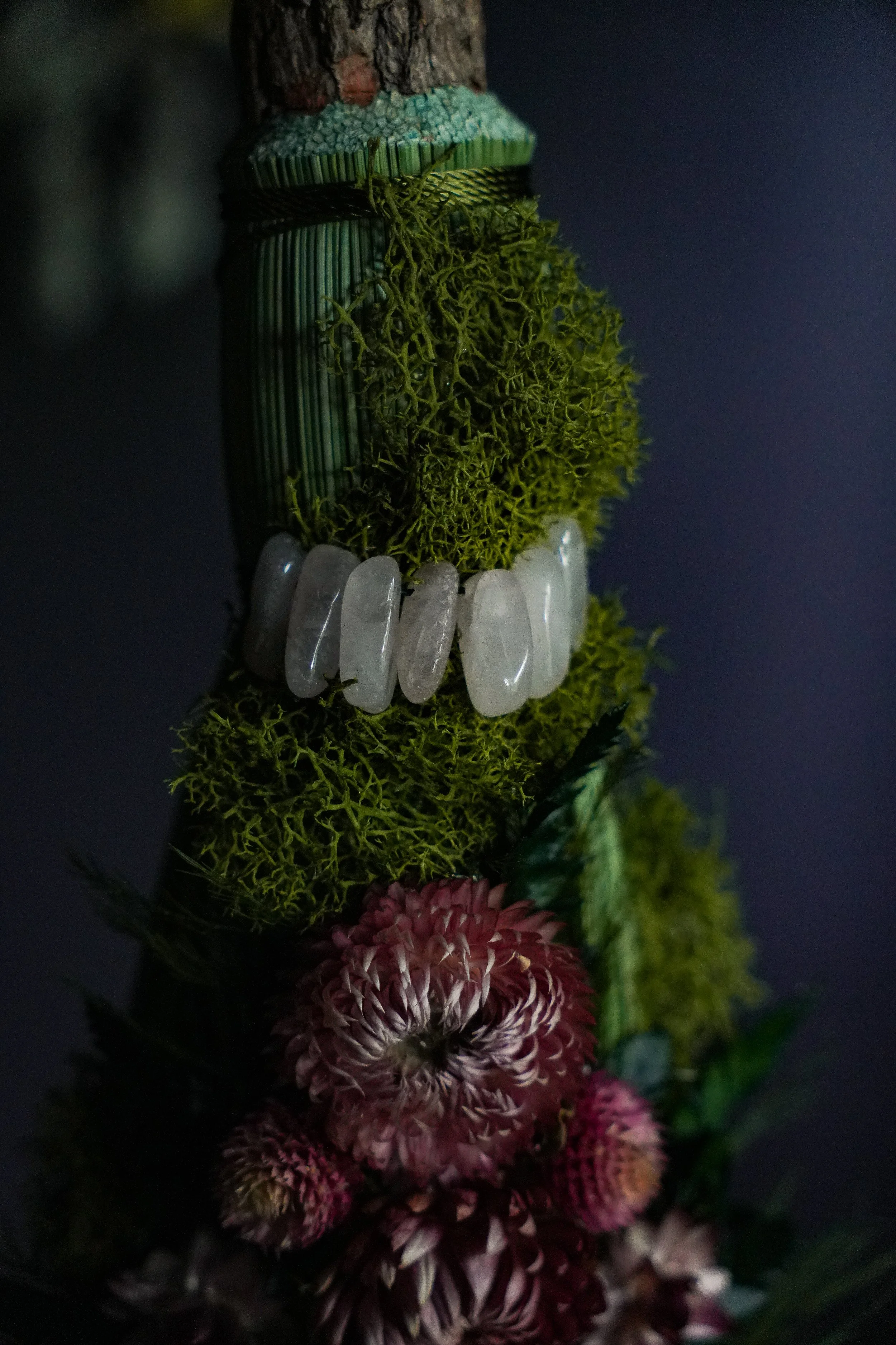 DSC00082.jpg