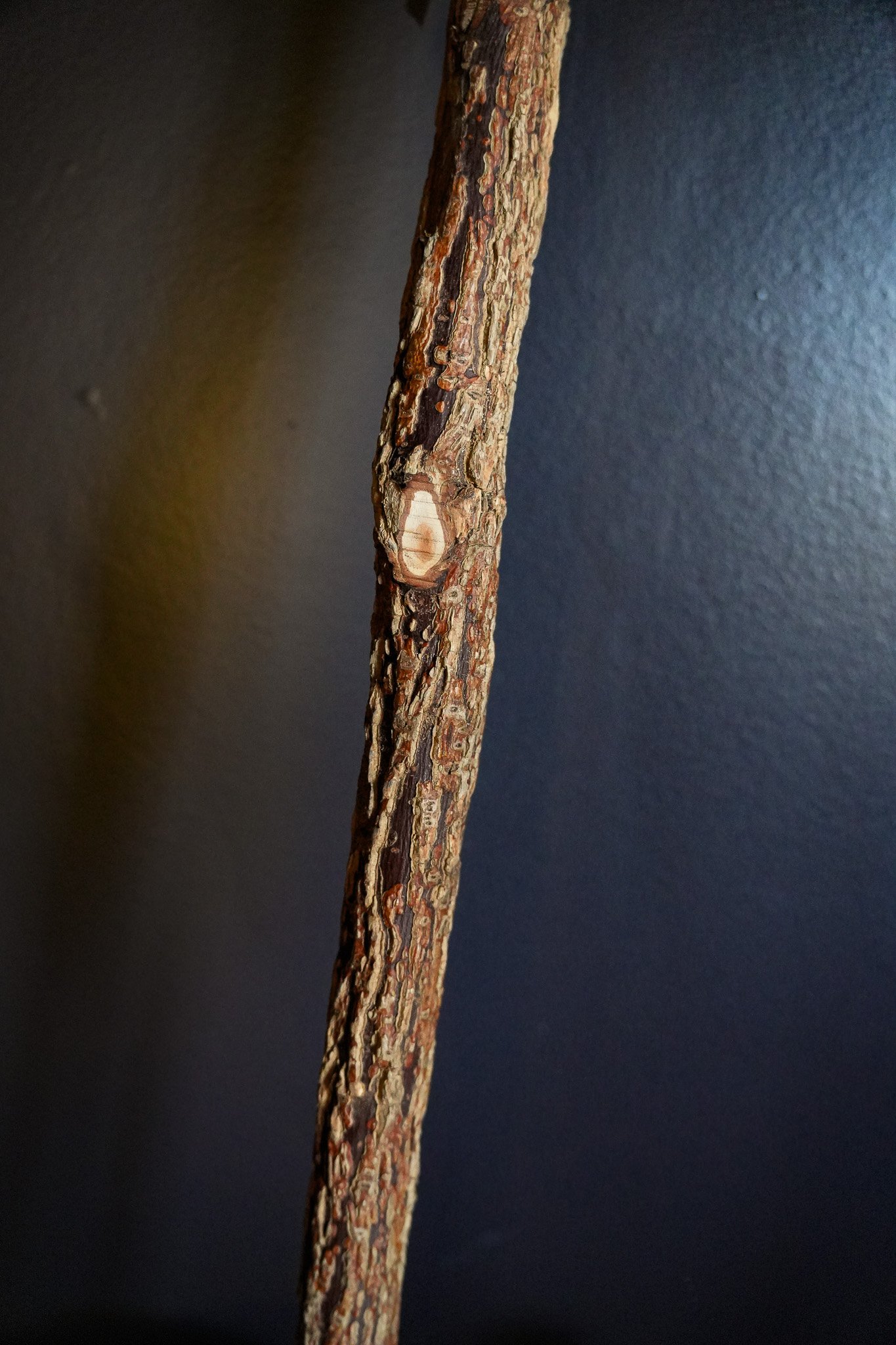 DSC01328.jpg