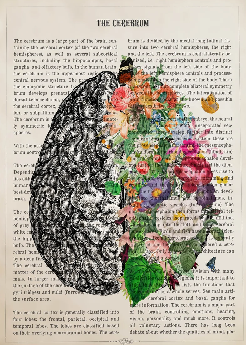 EMDR