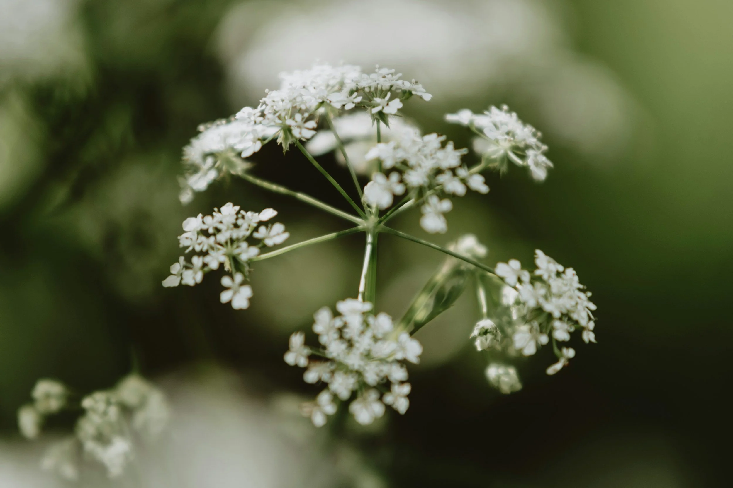 unsplash-image-6vsCOzZJa2s.jpg