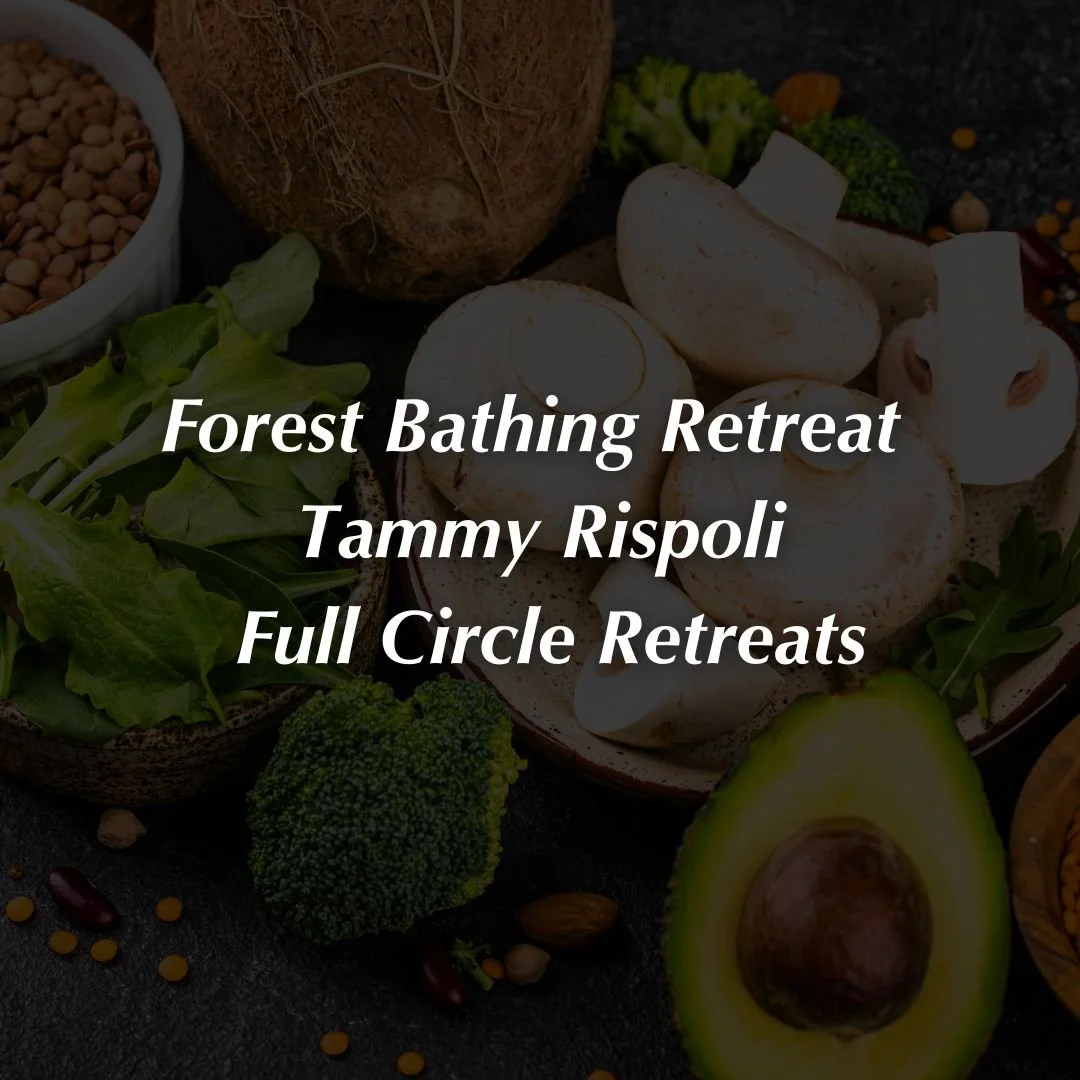 Forest Bathing Retreat - Tammy Rispoli - Full Circle Retreats