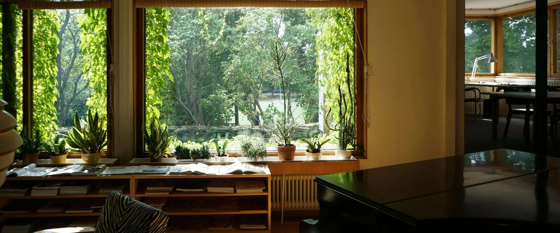 Interior space with natural light and plants reflecting sustainable and community-centered design