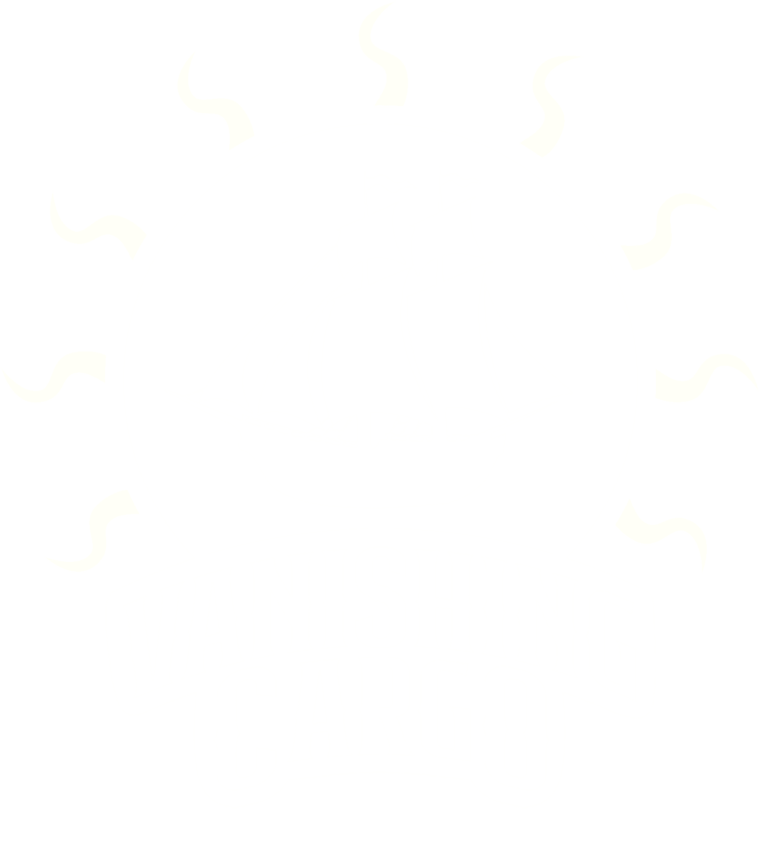 Vanishing Cargo Ltd