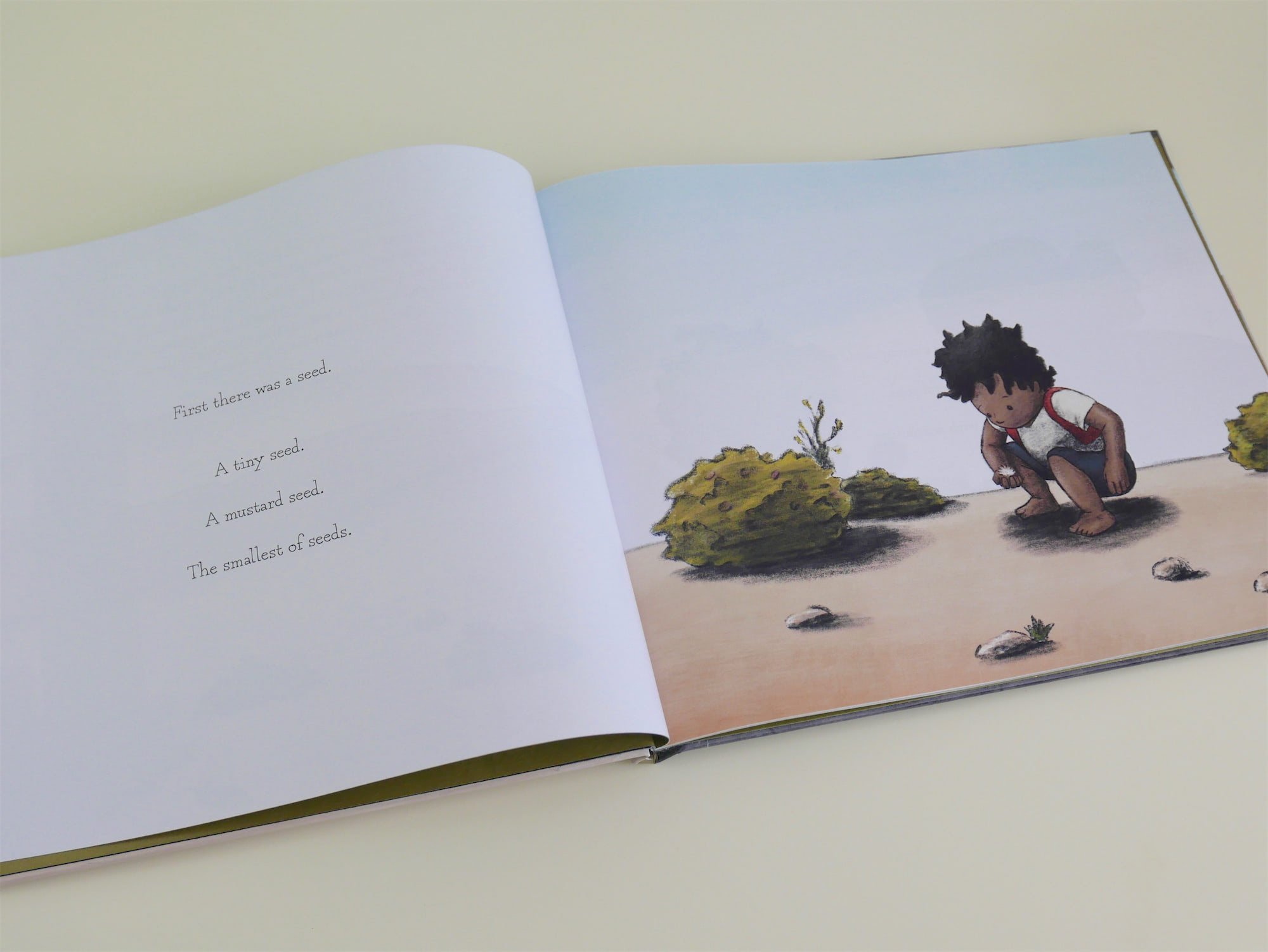 The Tiny Seed Catholic picture book interior illustration