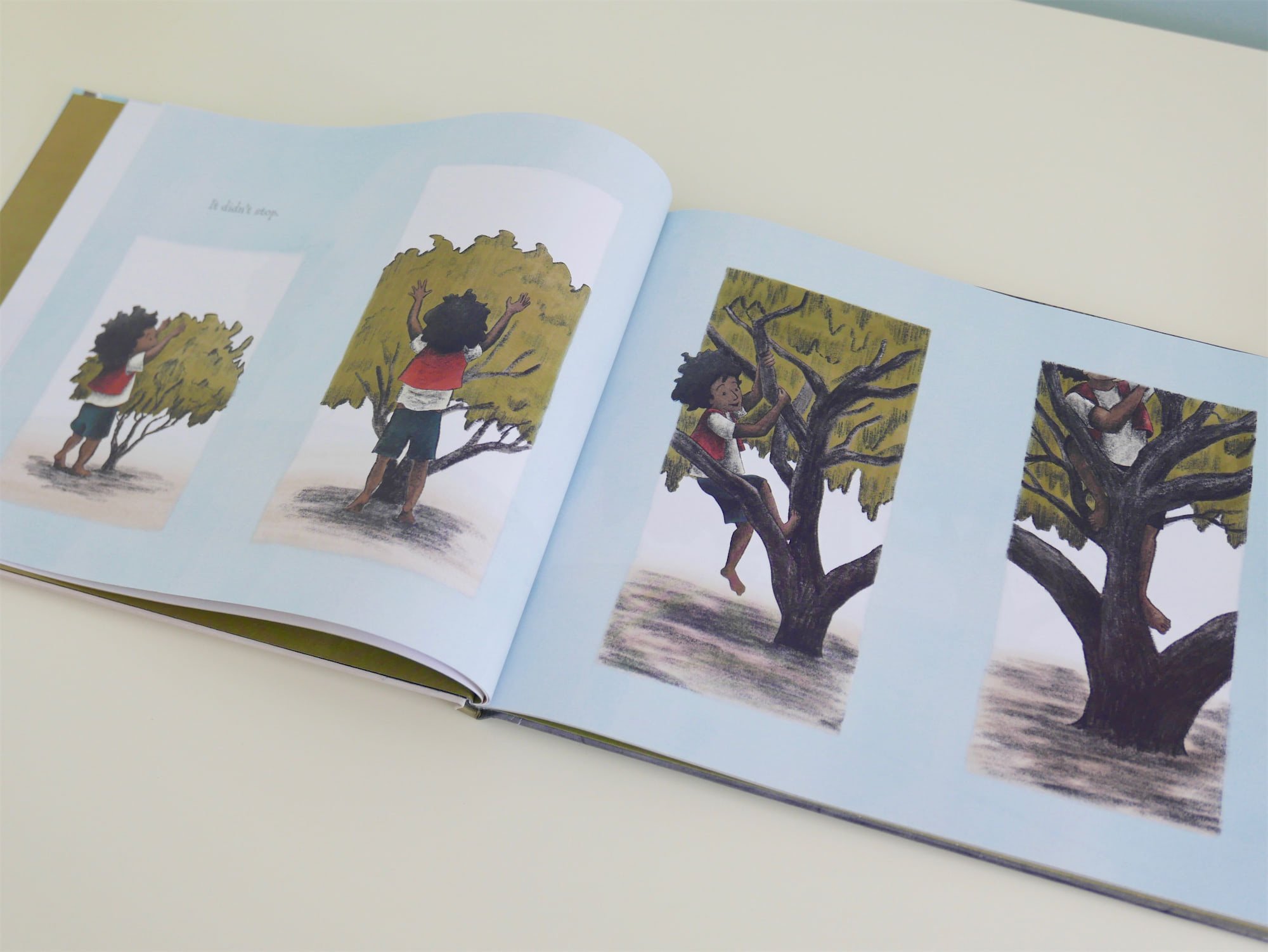 The Tiny Seed Catholic picture book interior illustration