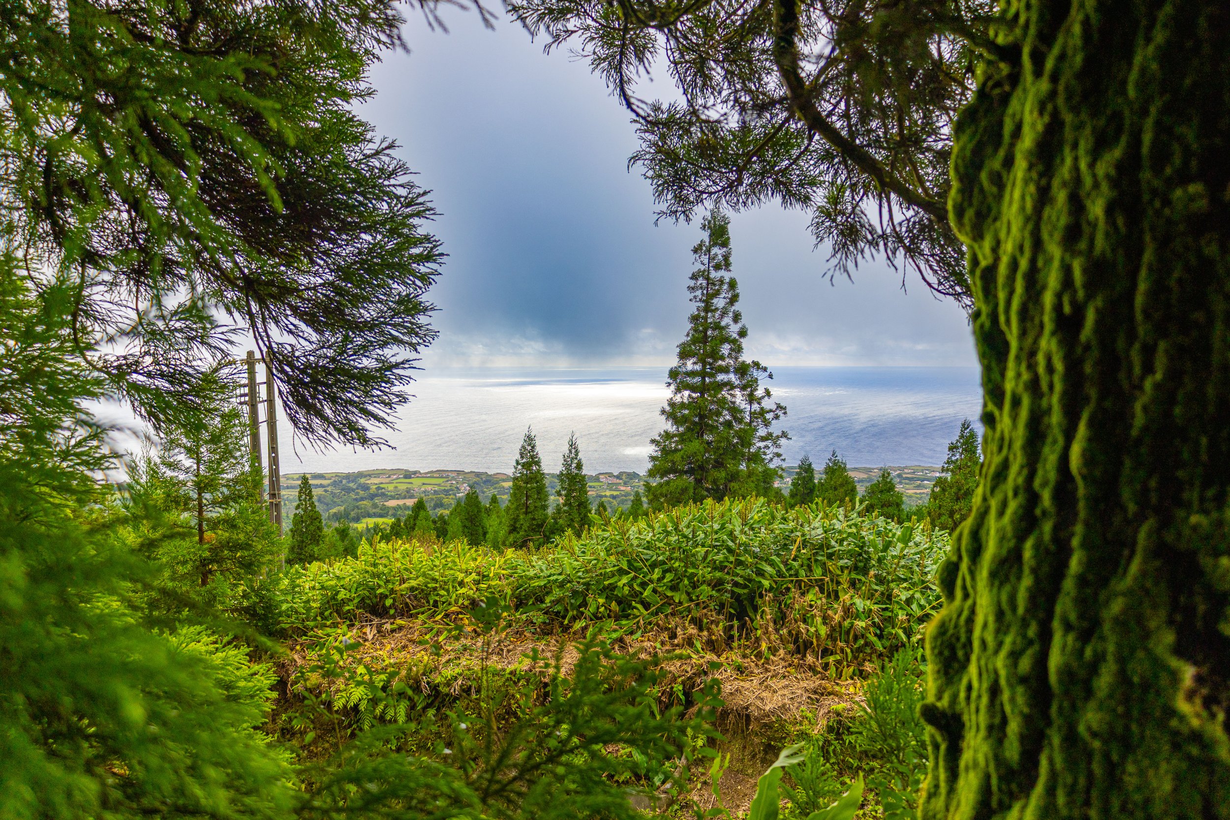 Azores 4-1.jpg