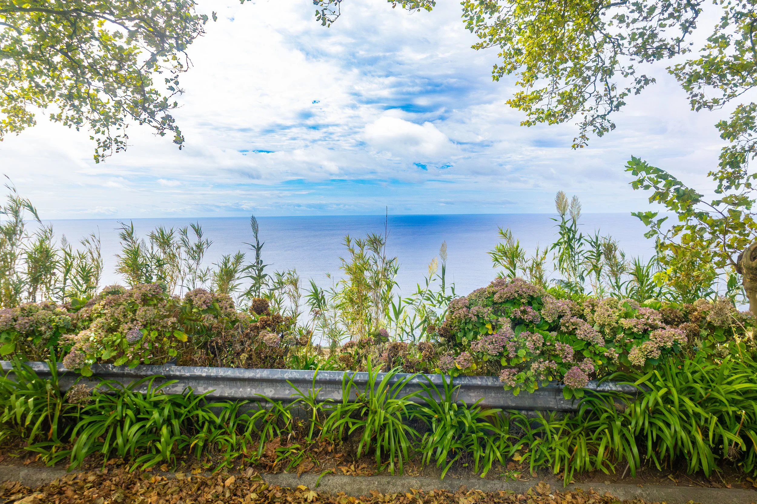 Azores2-1.jpg
