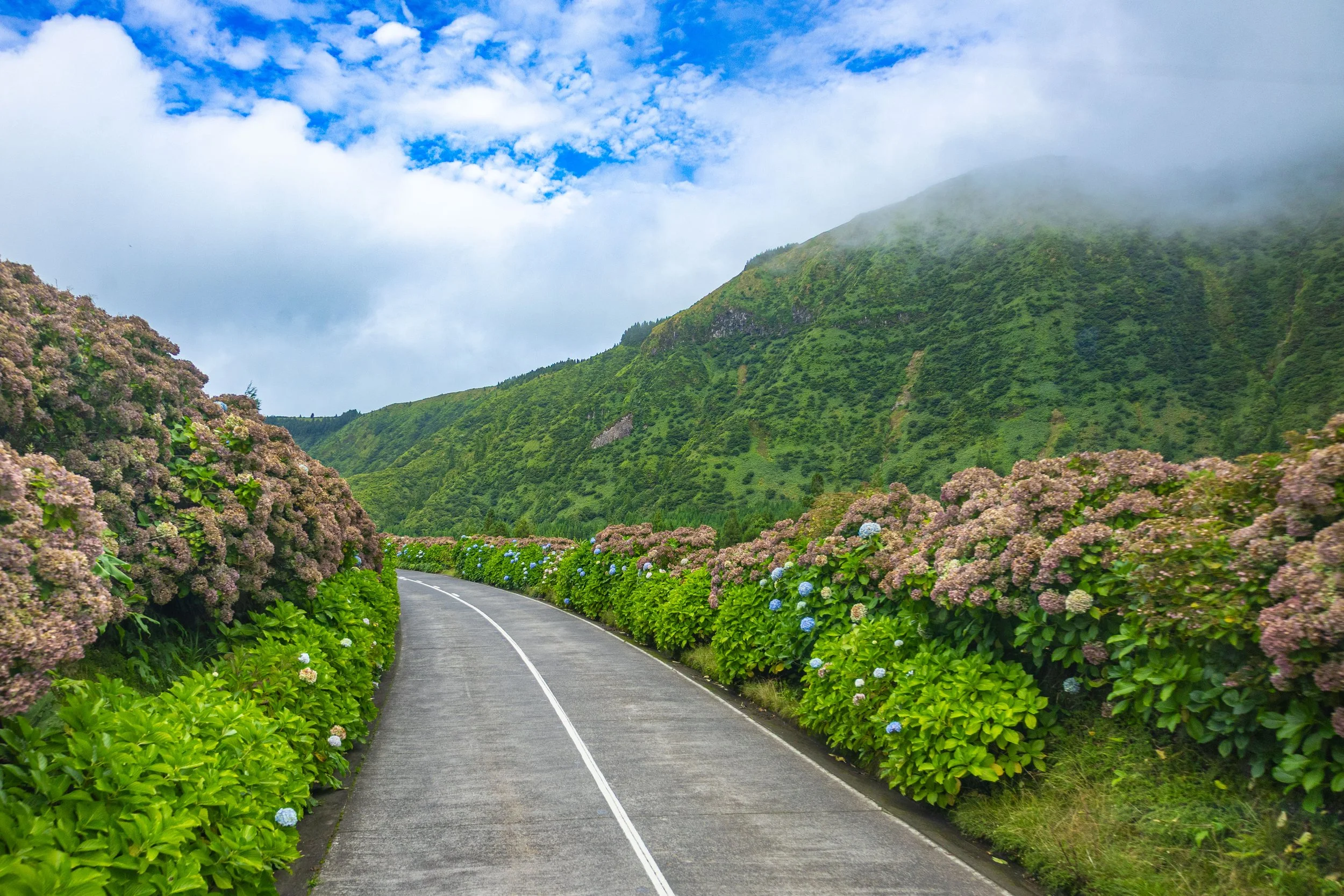Azores3-1.jpg