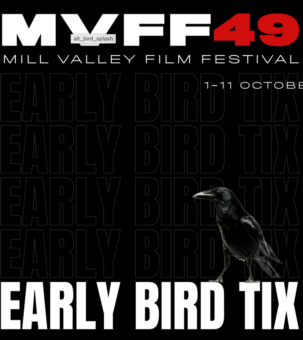 Film Festival - Mill Valley