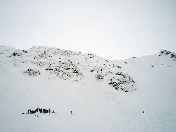 Avalanche broad view.jpg