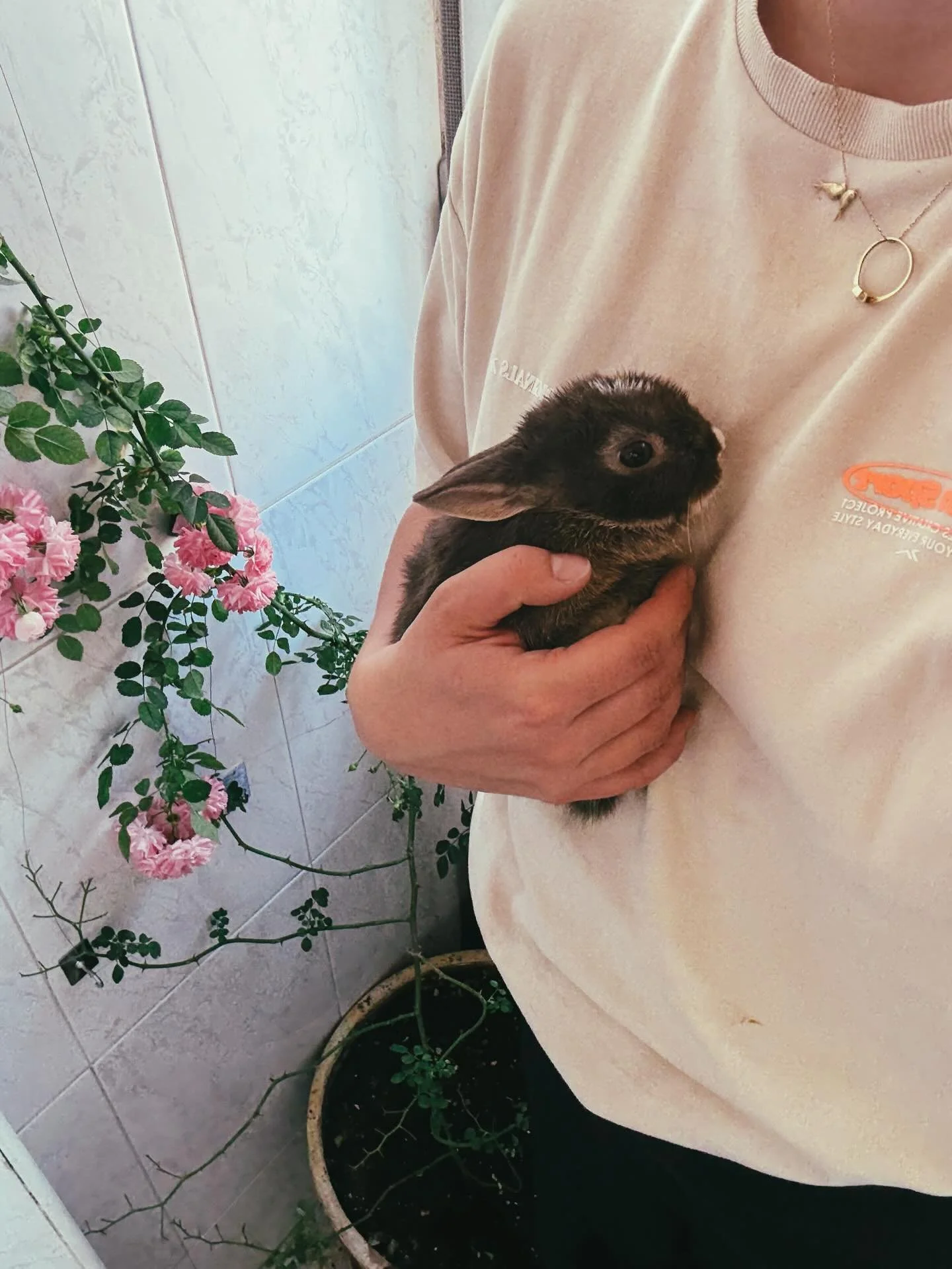 Kr&oacute;liczek wielkanocny zostaje z nami na zawsze 🥹 witaj w rodzinie Harry Potter ❤️