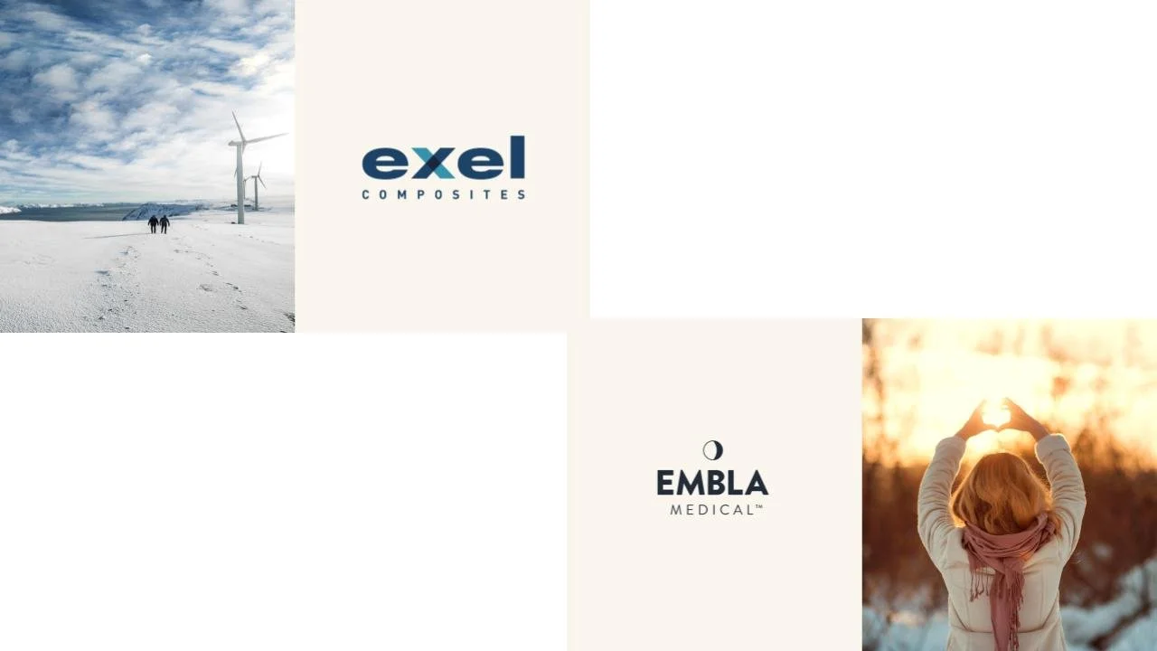 Introducing participants Embla Medical &amp; Exel Composites Oyj