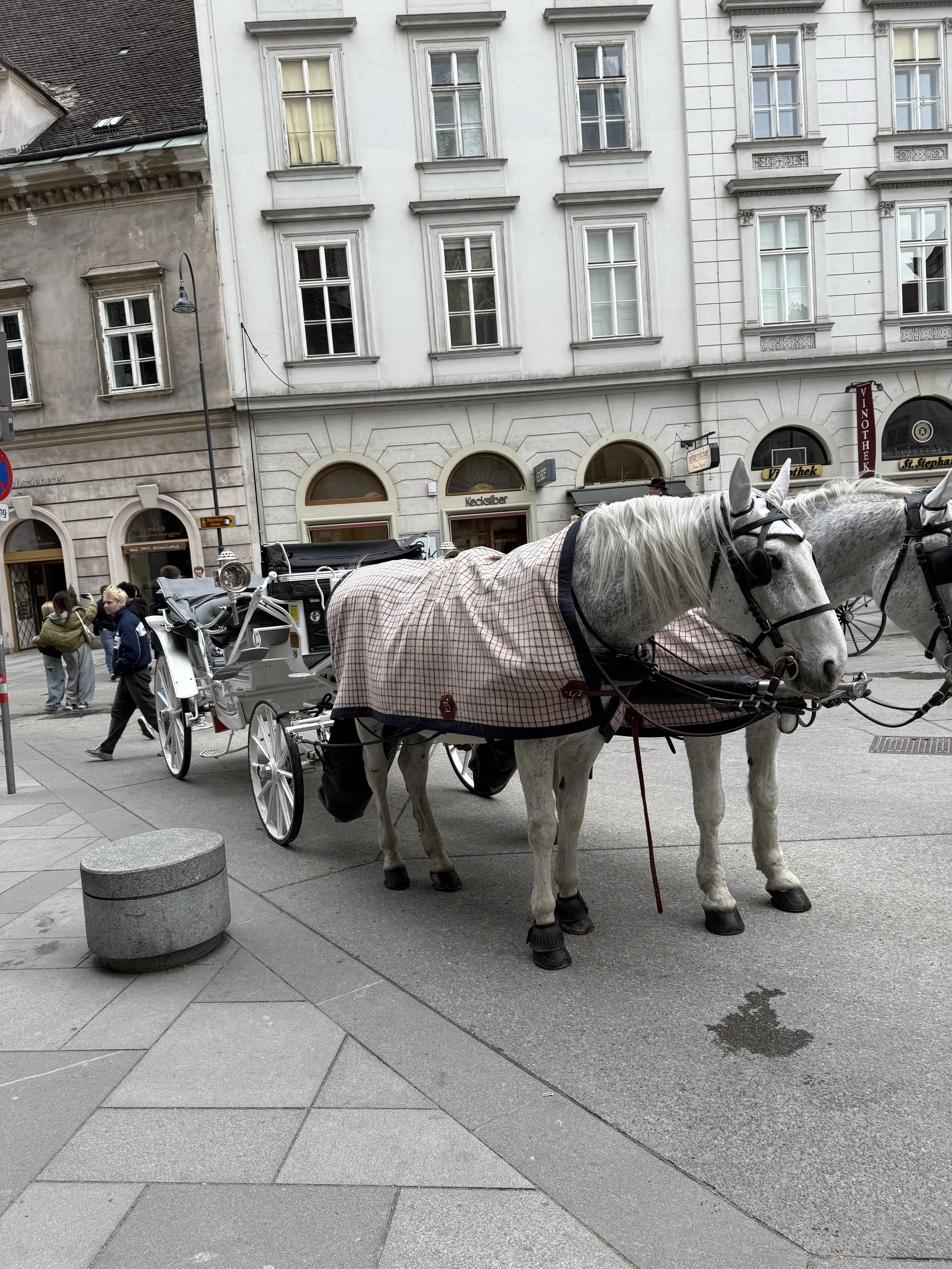 IMG_7033.jpeg