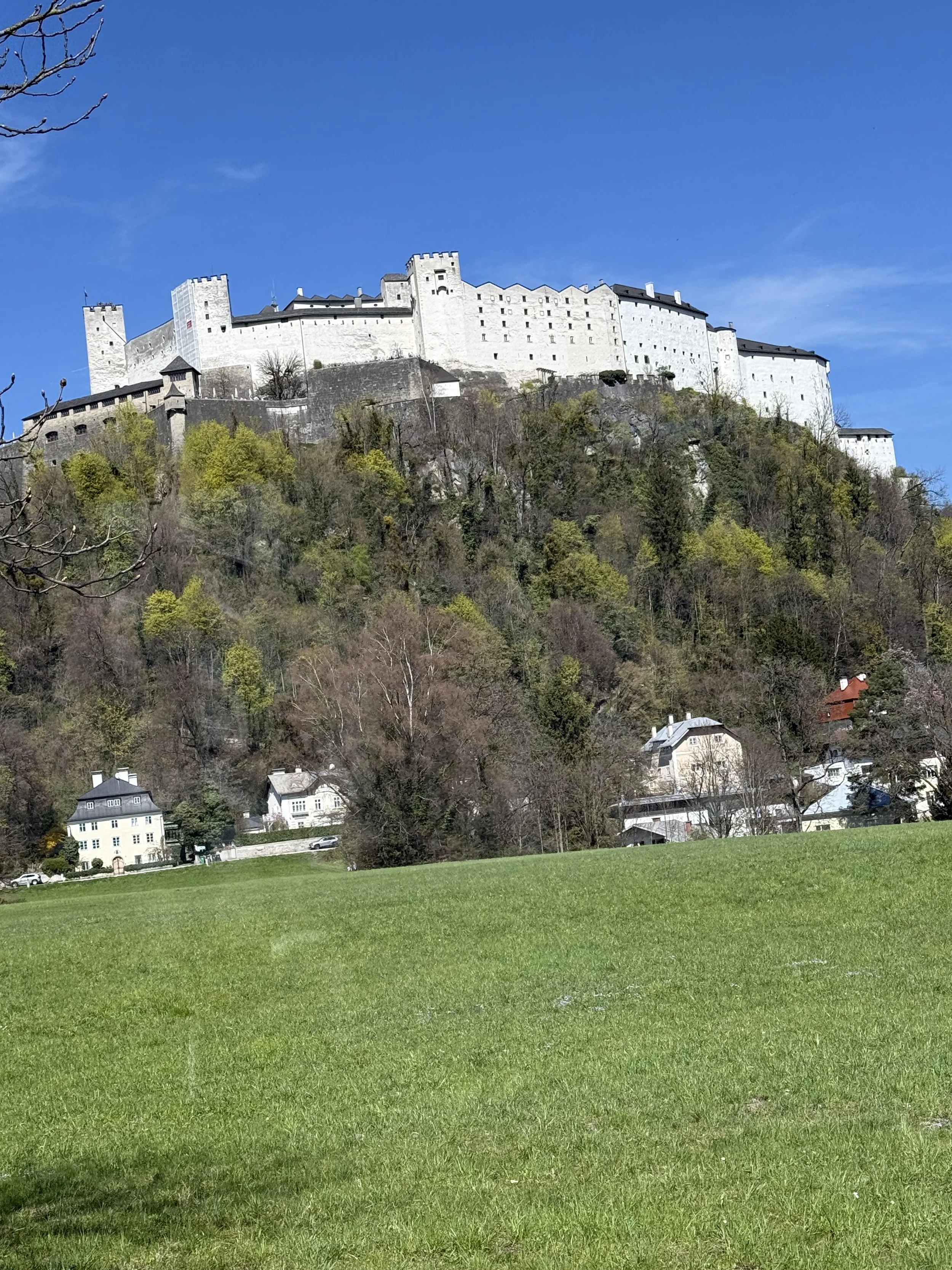 IMG_7116.jpeg