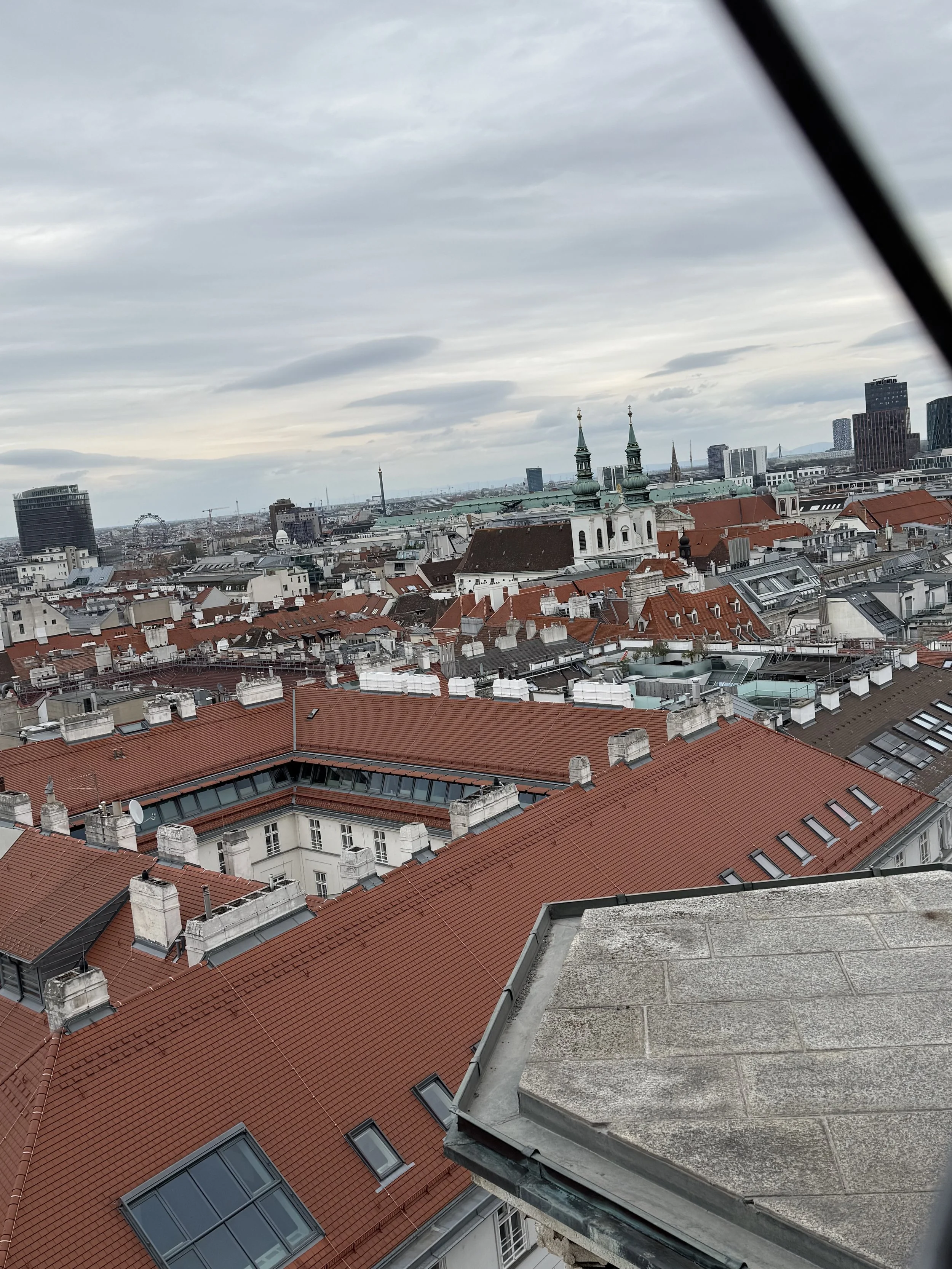 IMG_7050.jpeg