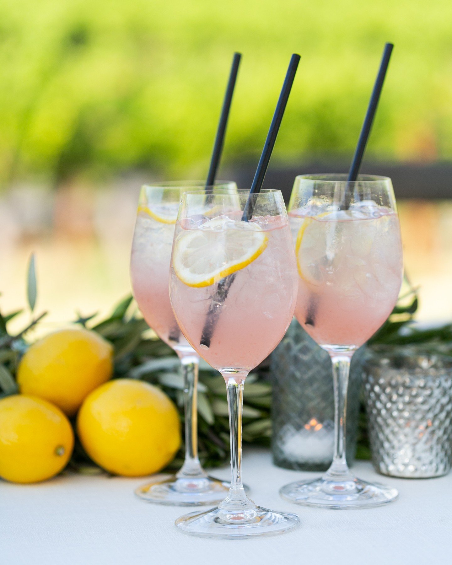 Planning a summer family gathering, welcome reception, graduation party, birthday party, anniversary, retirement celebration, company retreat? Contact us soon to inquire about catering your July event! 

Email: sales@parkavecater.com
Phone: 707.793.9
