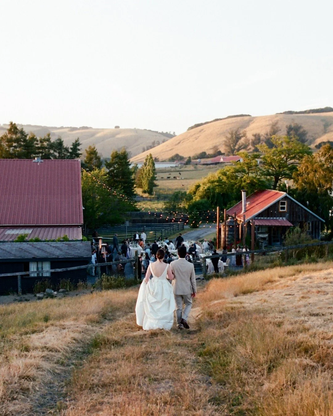 Bringing a touch of Sonoma County&rsquo;s charm to your wedding @olympiasvalleyestate 🍇!

Photography: @thejustinjay
Venue: @olympiasvalleyestate 
Planning: @bravoweddings
#winecountrywedding #catering #sonomacounty #farmwedding