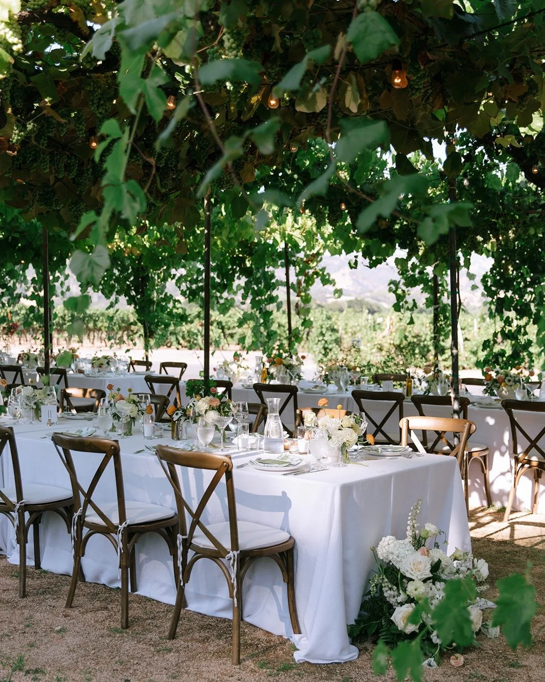 Creating moments as memorable as the menu!  From a gorgeous ceremony backdrop to dinner beneath the vines, @trentaduewineryweddings could be the perfect venue for you!

Photography: @kmphoto.co
Planning: @alidiluvioevents
Florist: @vandafloraldesign
