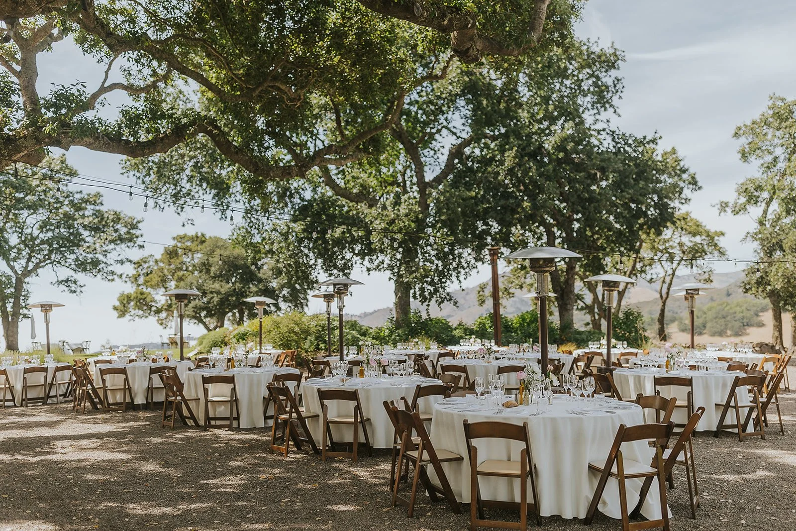 060923-DD-sneaks-137 (1).jpg