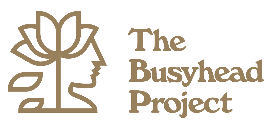Busyhead Project