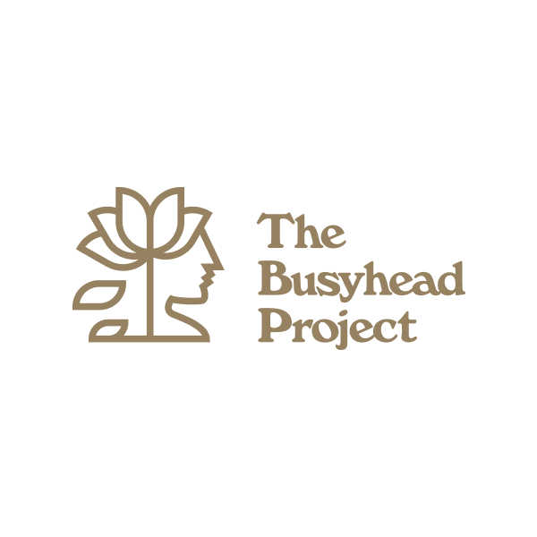 Busyhead Project