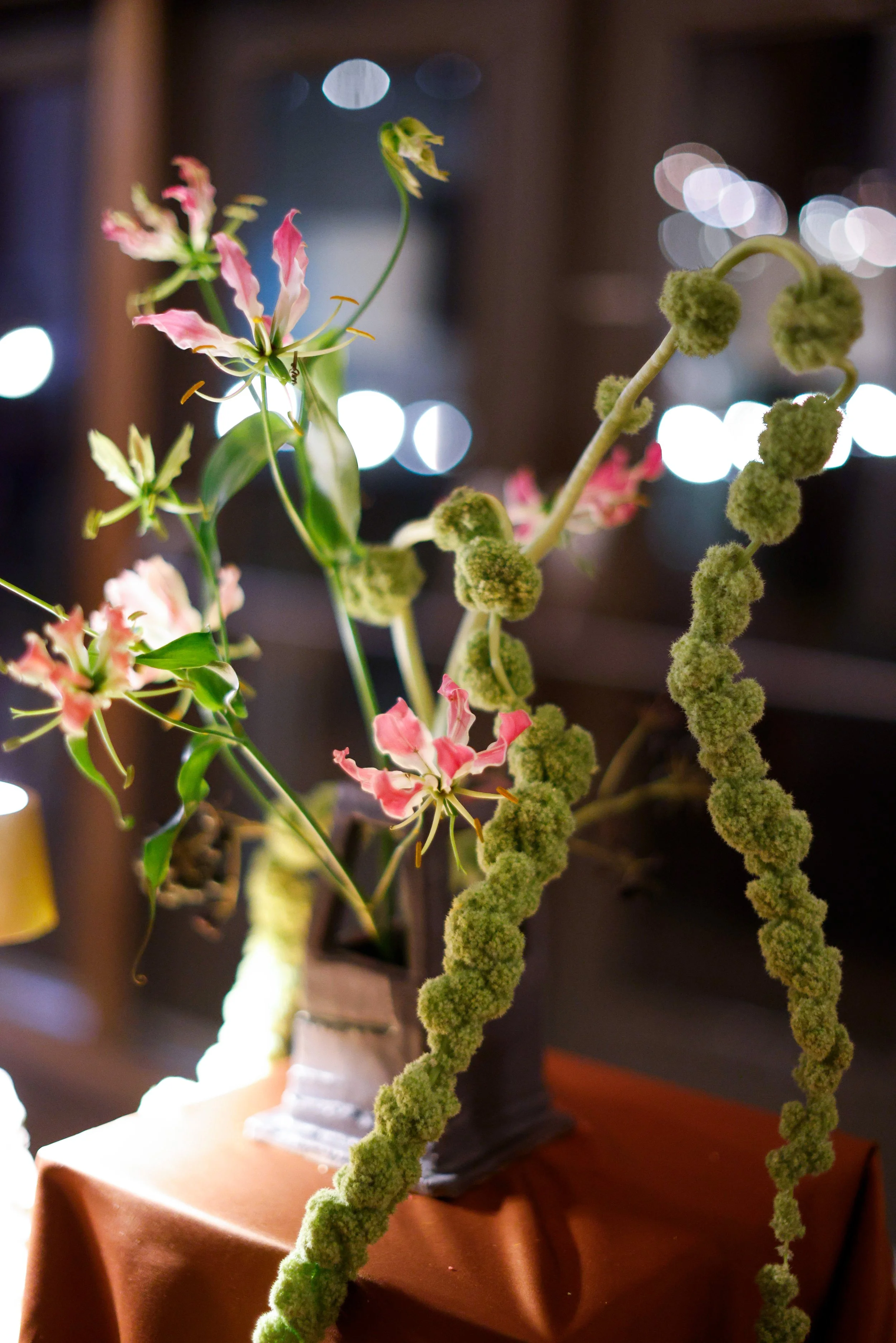 DanLittlePhoto-Flora&Fromage2-03212026-19.JPG