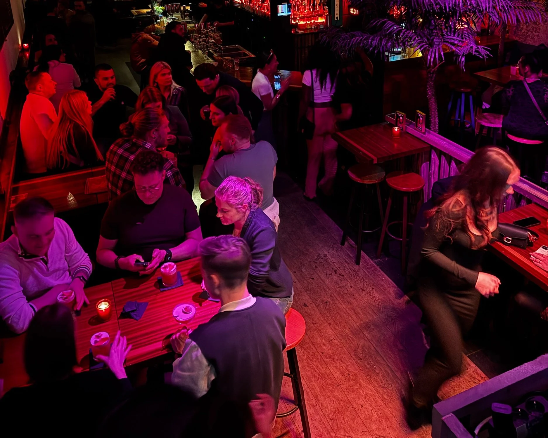 Binnen in een bar met mensen die aan tafels zitten, praten, drinken en genieten, verlichte met roze en paarse verlichting.