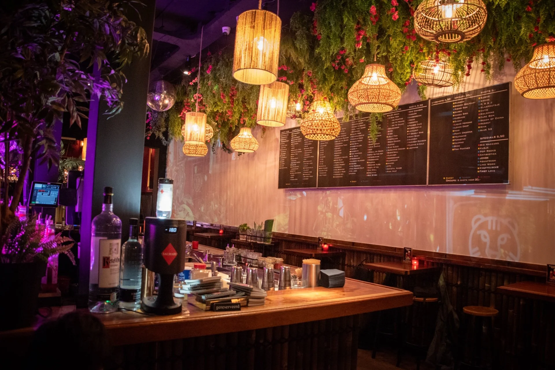 Binnenkant van een gezellig café of restaurant met warme lichtslinger, groene planten en een menulijst aan de muur.