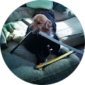 unnamed-1.png