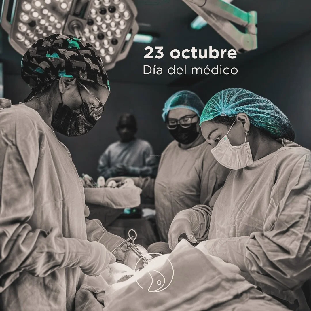 &ldquo;Una Oraci&oacute;n Para Doctores&rdquo;

Querido Diosito ✨

Gu&iacute;a mi mente y mis manos e insp&iacute;rame con palabras de consuelo para que pueda ayudar a los que sufren. An&iacute;mame en las pruebas a las que estoy expuest@ diariamente