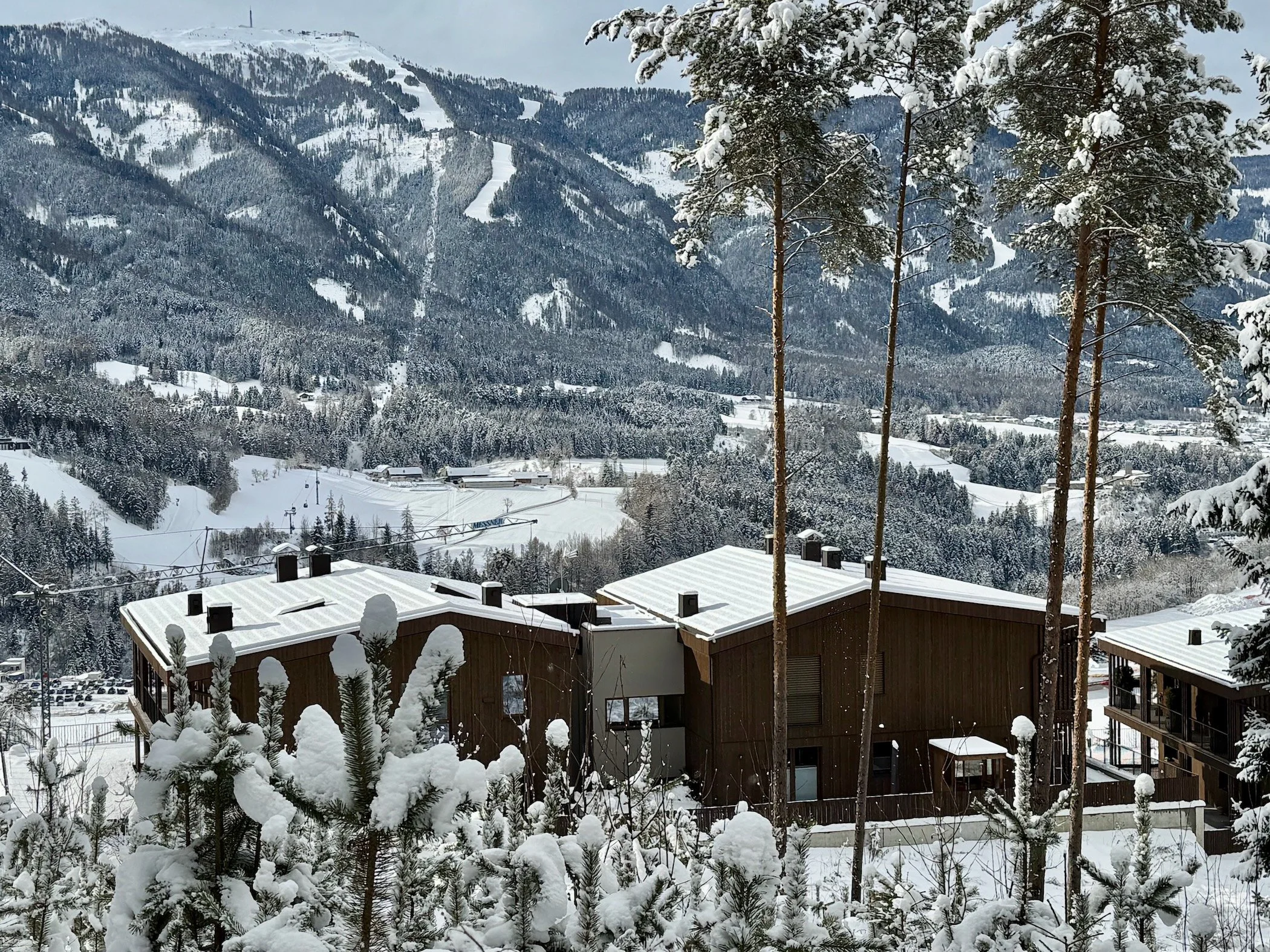 view-snow4.jpeg