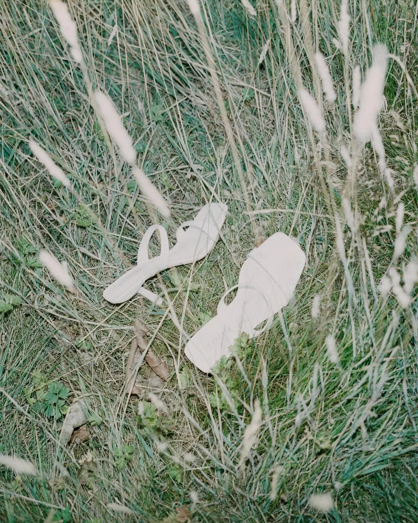 shoes + flowers on film ✨

35mm dev/scans @southsun @gulabiphoto 
super 8 dev/scans @on8mil 

35mm film scans by @southsun 

UK &amp; Destination Wedding Photographer | Scottish Elopement Photographer | Super 8 Wedding Videographer 

#sicilyweddingph