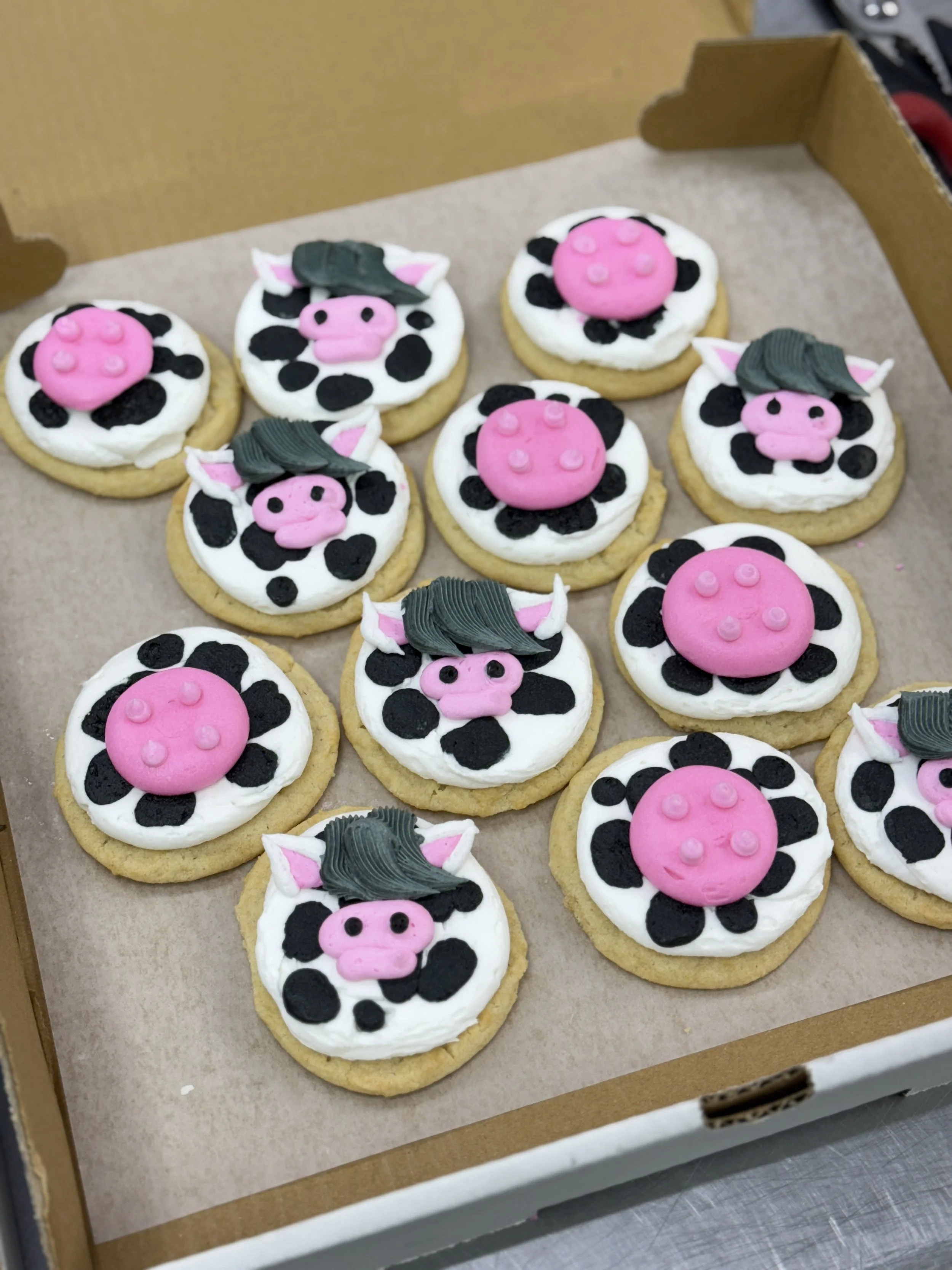 Cookies decorated as black and white cows, with pink and black details, some with pink fondant udders, some with fondant ears and green fondant patches on top.