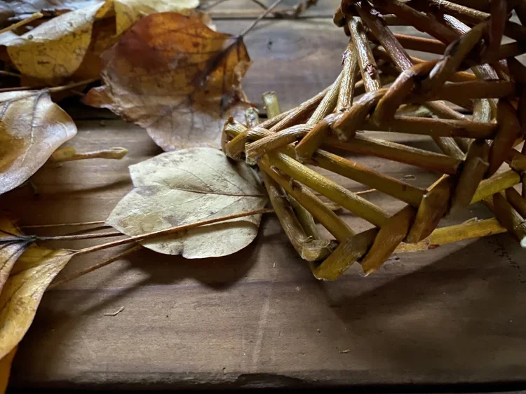 Land Alliance Folk School- Annual Willow Retreat