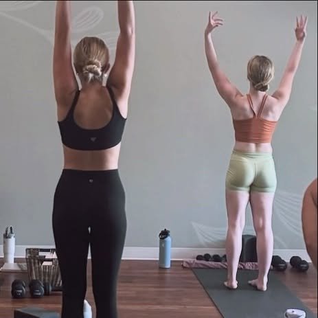 Every time you step on the mat, you&rsquo;re building something&mdash;strength, space, confidence.
Start where you are, rise from there.

🌿 Unlimited yoga for your first month is just $79

Come see what&rsquo;s possible when you show up for yourself