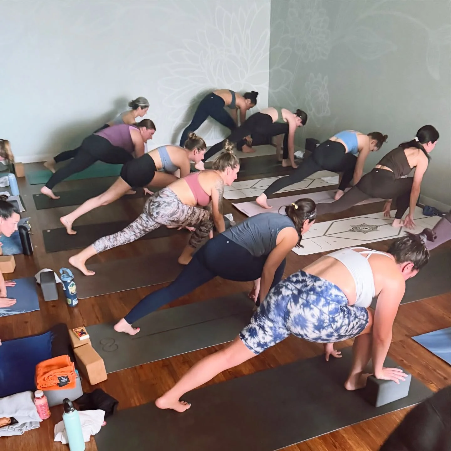 Spring at Bloom 🌿

The room just feels&hellip;alive.

#BloomYogaCo #SpringAtBloom #FlowState #HeatedYoga #VinyasaFlow #MoveYourBody #ChapelHillNC #CarrboroNC #NCYoga #YogaCommunity #GoodEnergy #StrongerTogether #BloomTogether