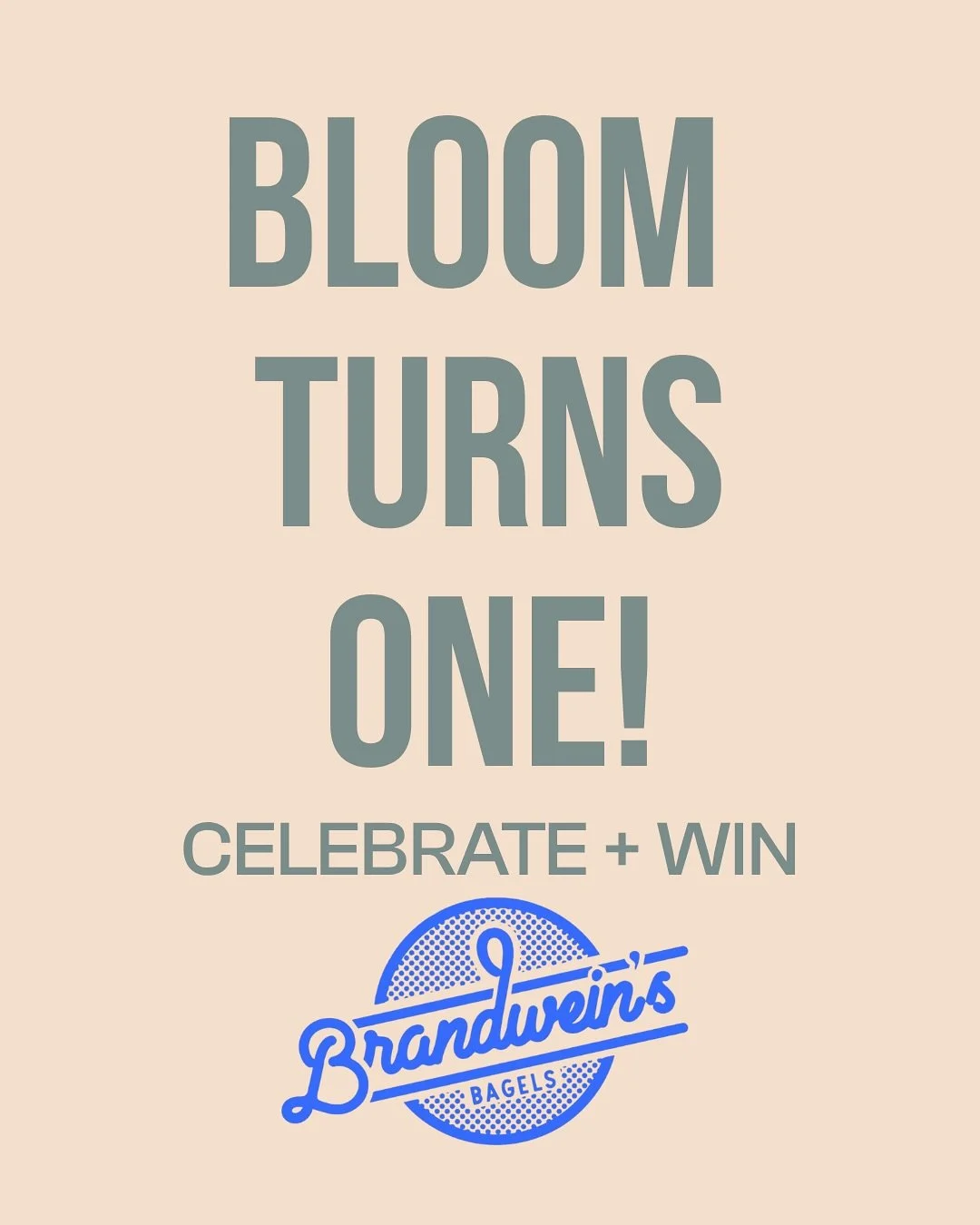 Bloom turns ONE 🌿

We&rsquo;re celebrating Saturday 4/11 at 2 pm with a BIG community flow on The Green in Southern Village. 

But first, a GIVEAWAY! 

5 yogis will win a $20 gift card to Brandwein&rsquo;s + a little something from us.

To enter:
&b
