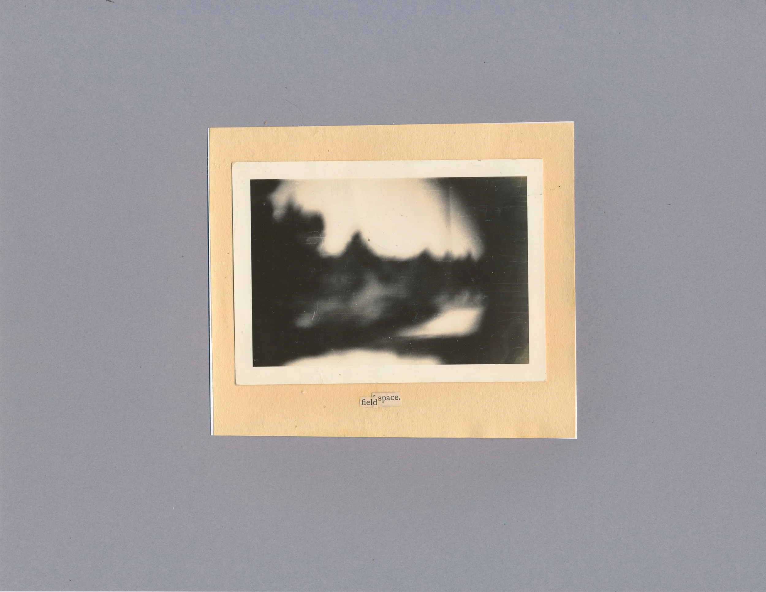 TNHS - Fieldspace.jpg