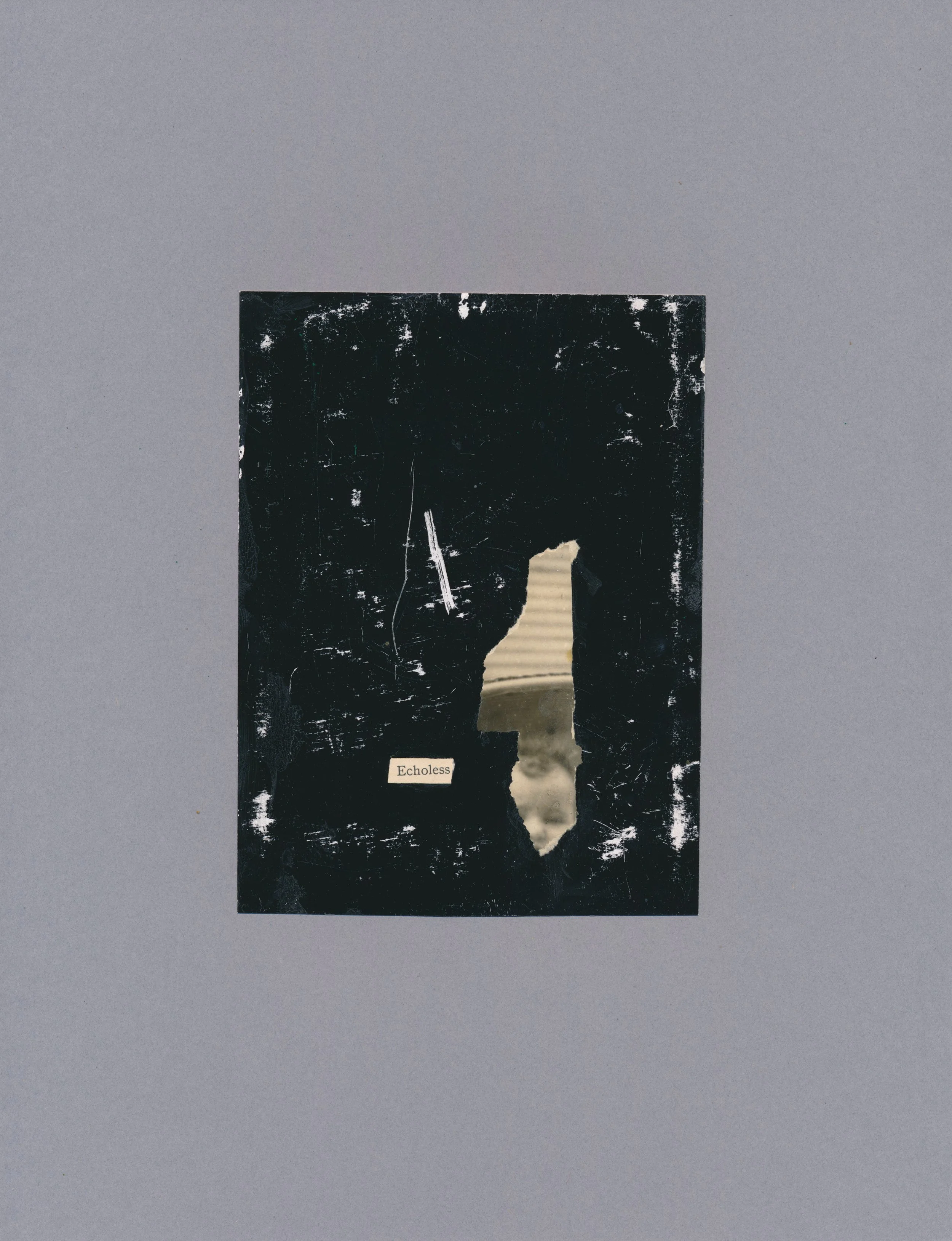 TNHS - Echoless.jpg