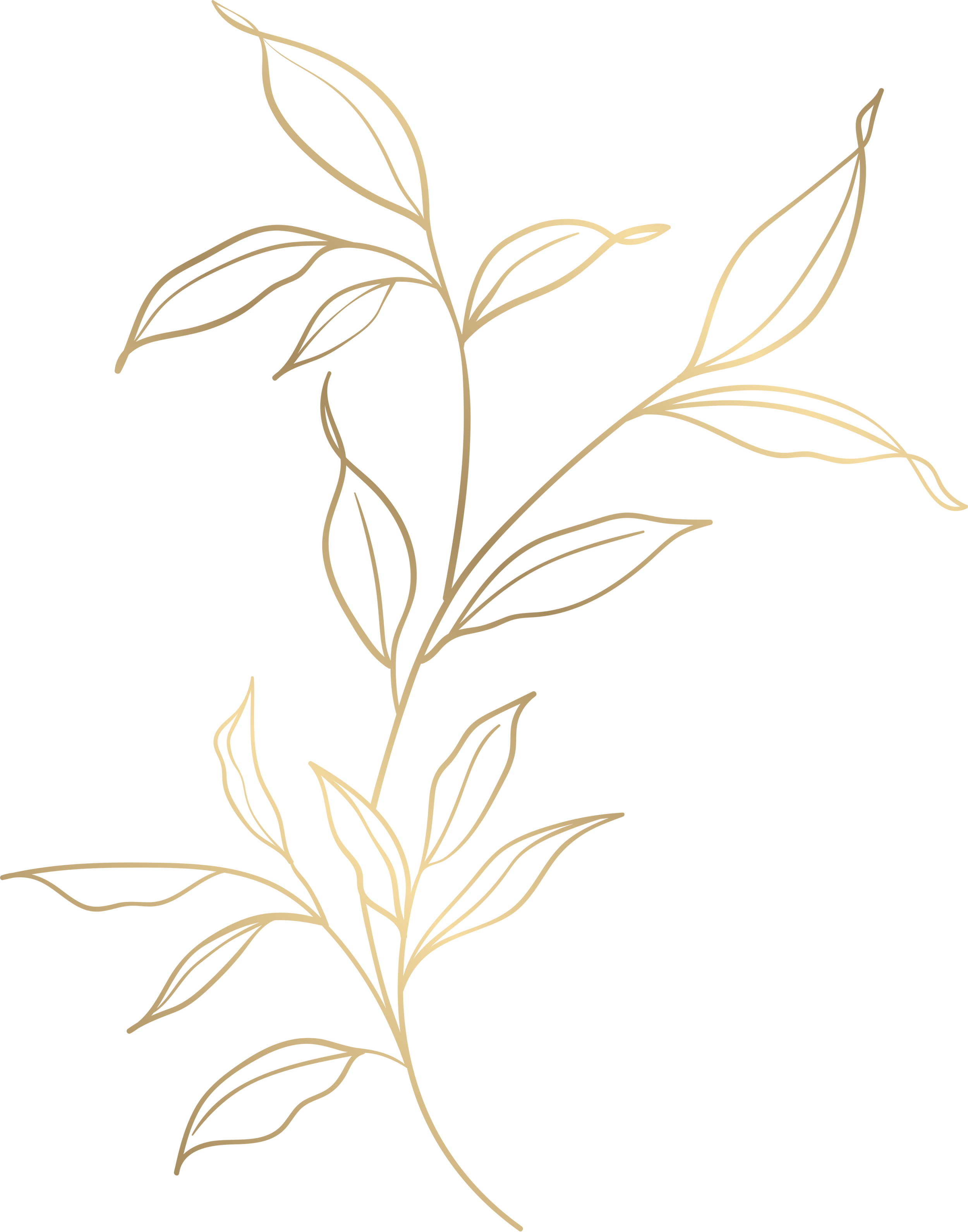 Nova Naturopathic, Llc, Dr. Lorraine Young, Naturopathic Doctor