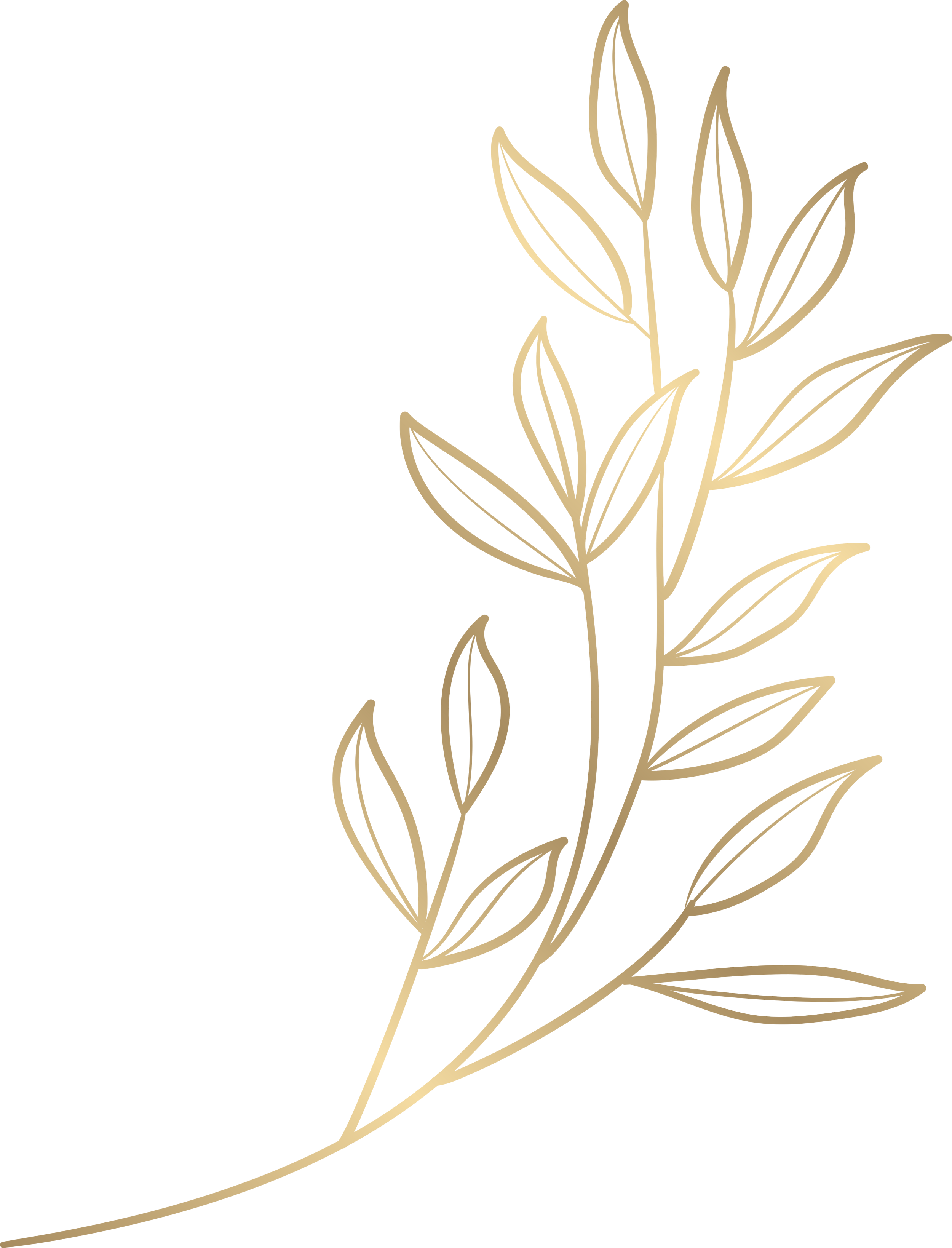 Nova Naturopathic, Llc, Dr. Lorraine Young, Naturopathic Doctor